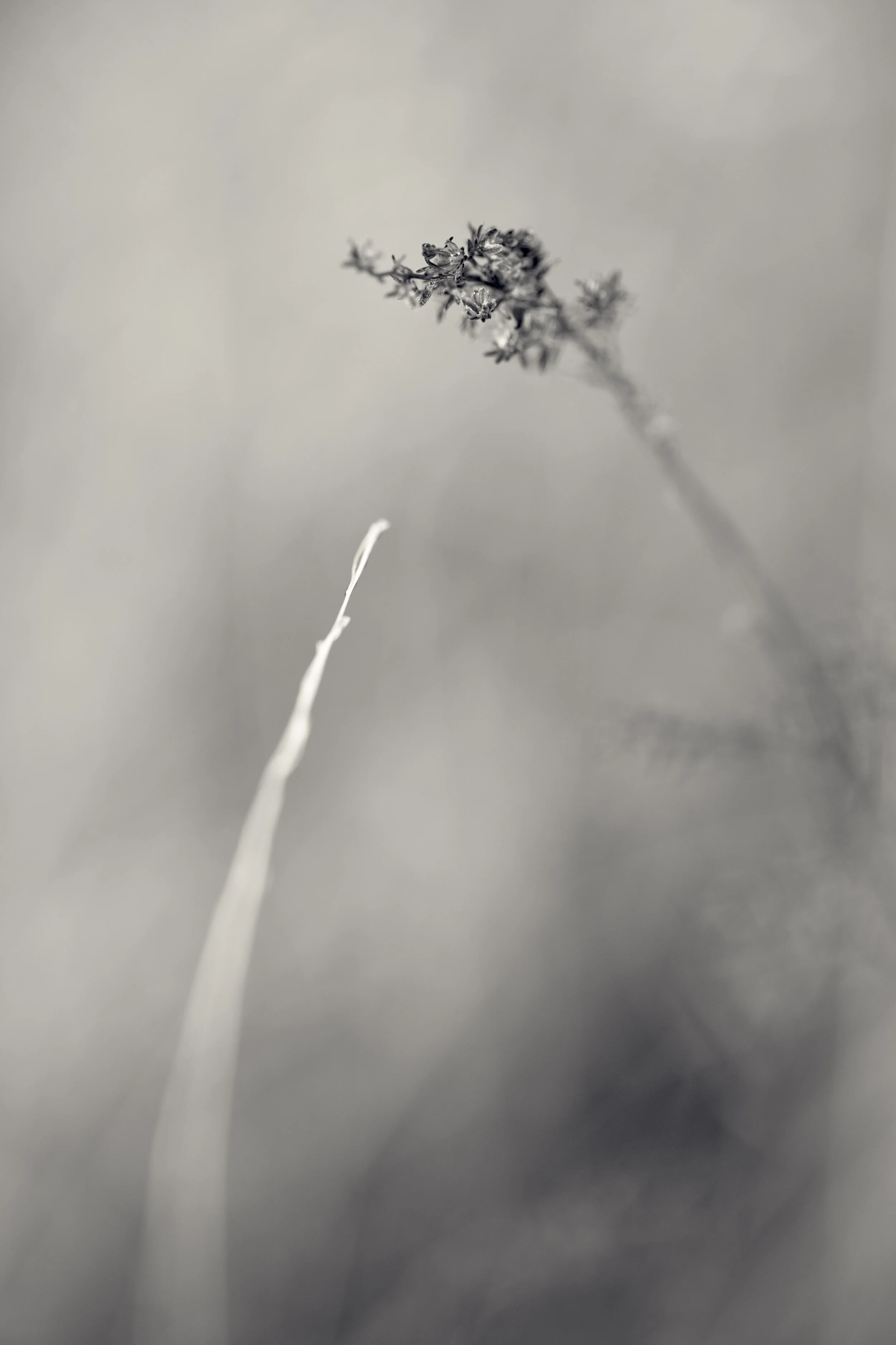 FH-0306-348-Edit.jpg