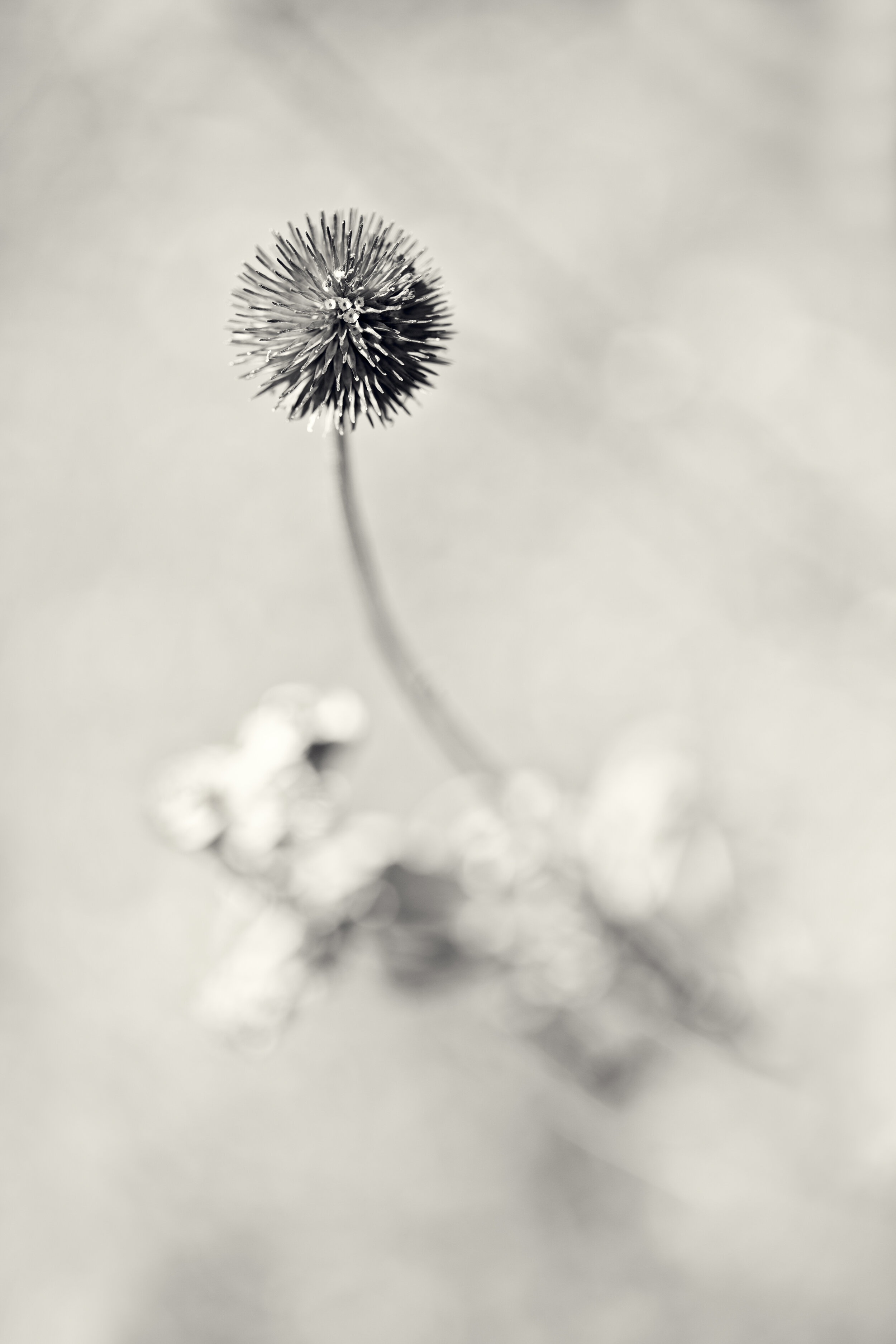DBG-0323-145-Edit-Edit.jpg