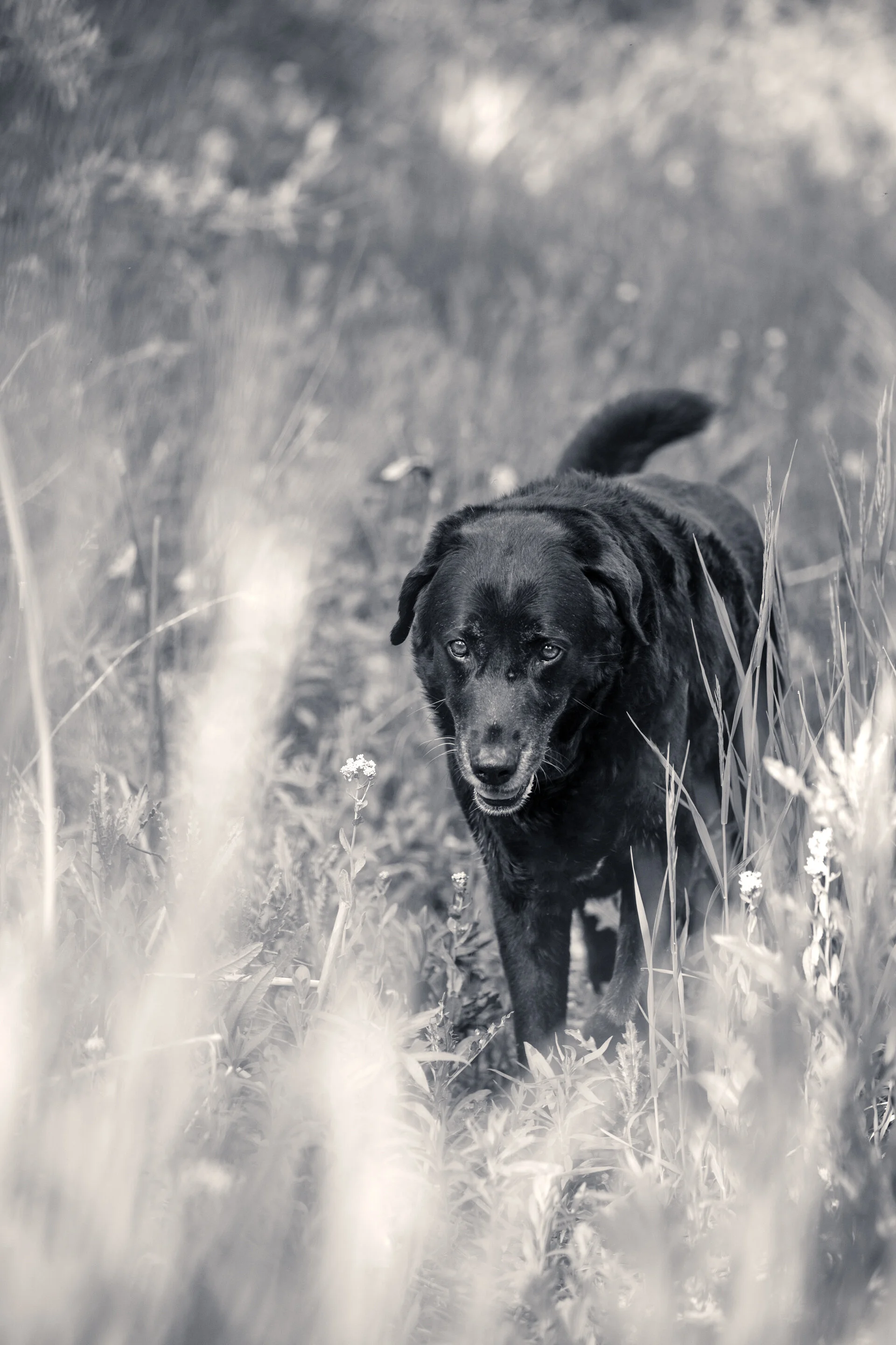 Sully21-178-Edit.jpg