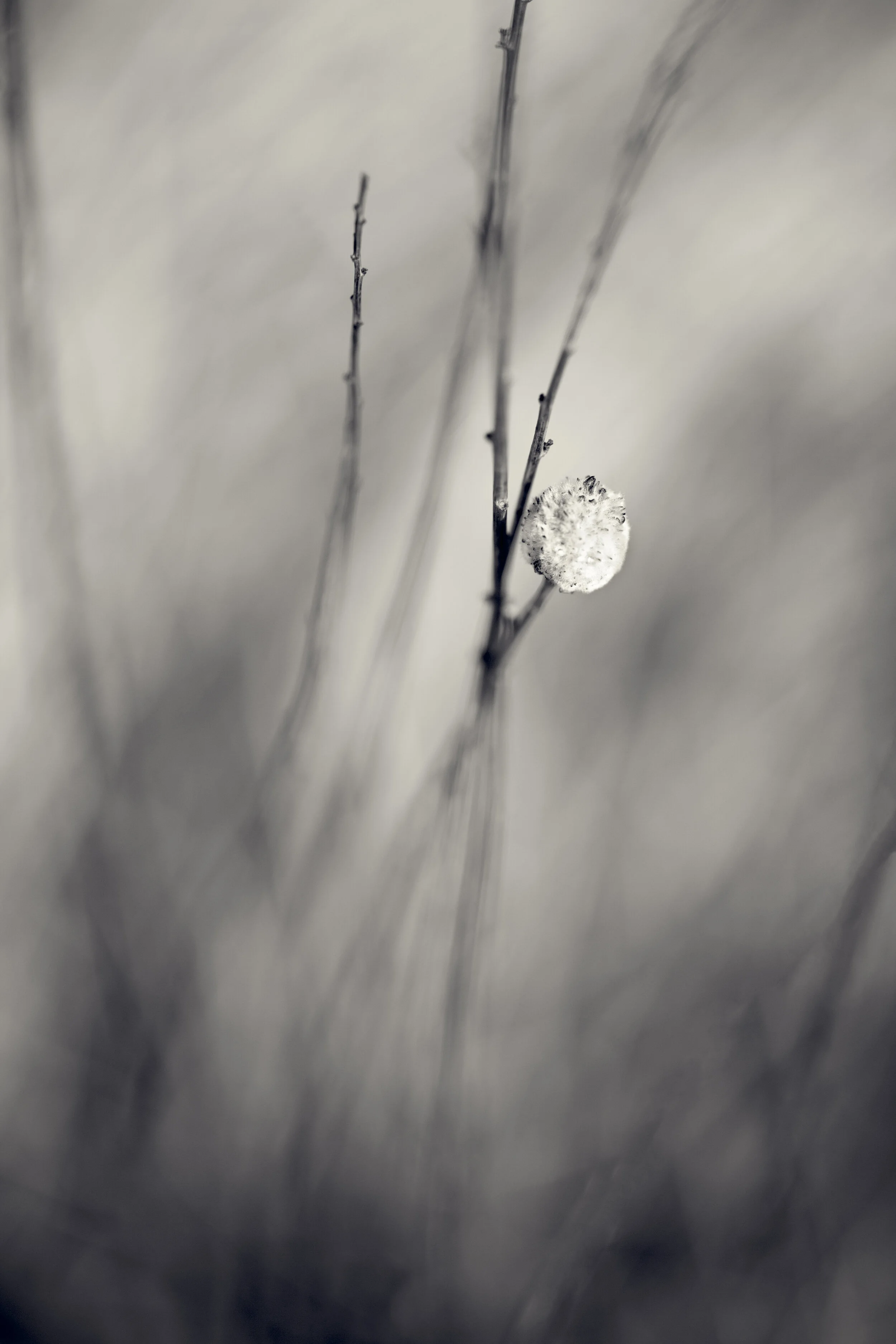 FH-0306-197-Edit-Edit.jpg
