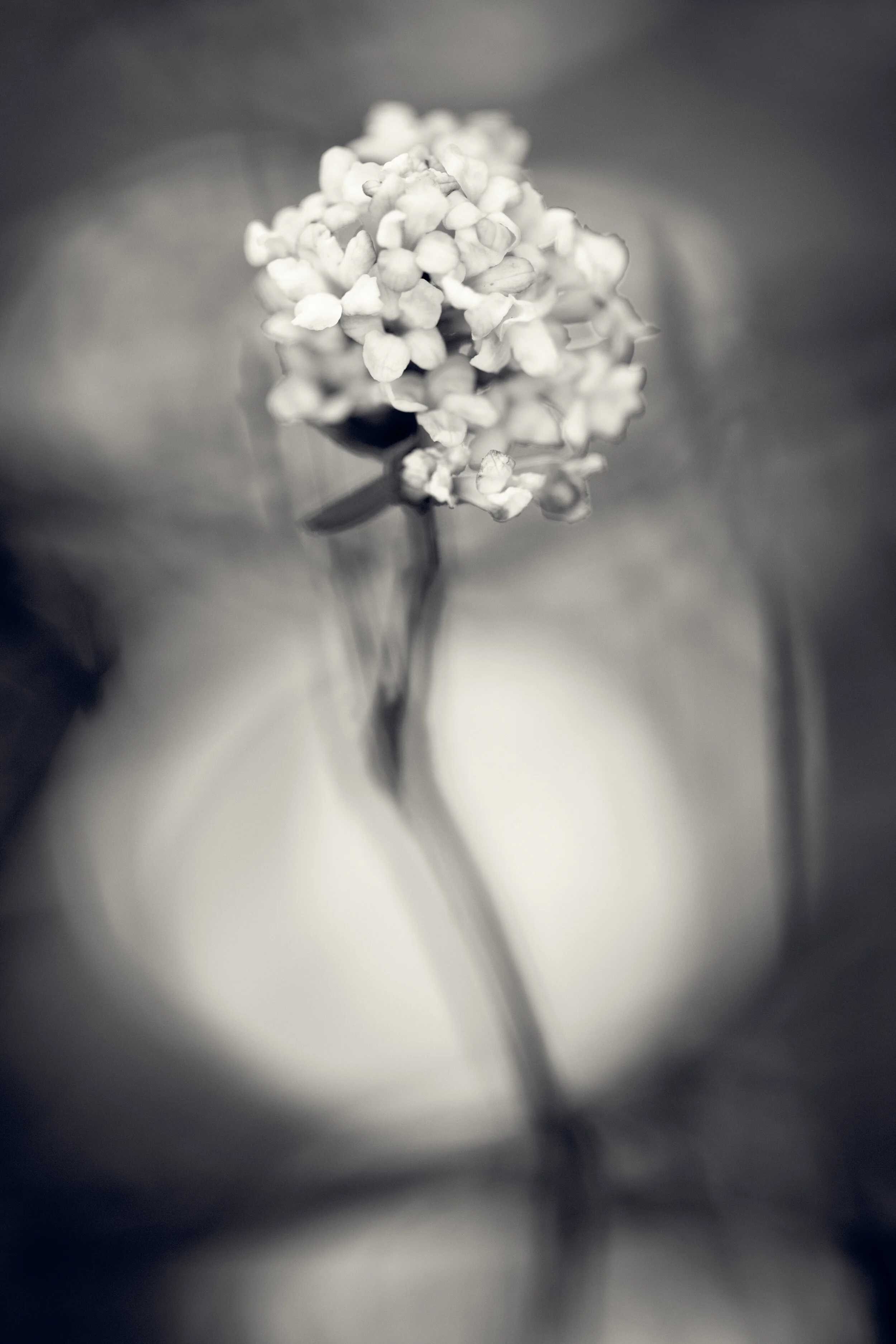 DBG-0323-185-Edit.jpg