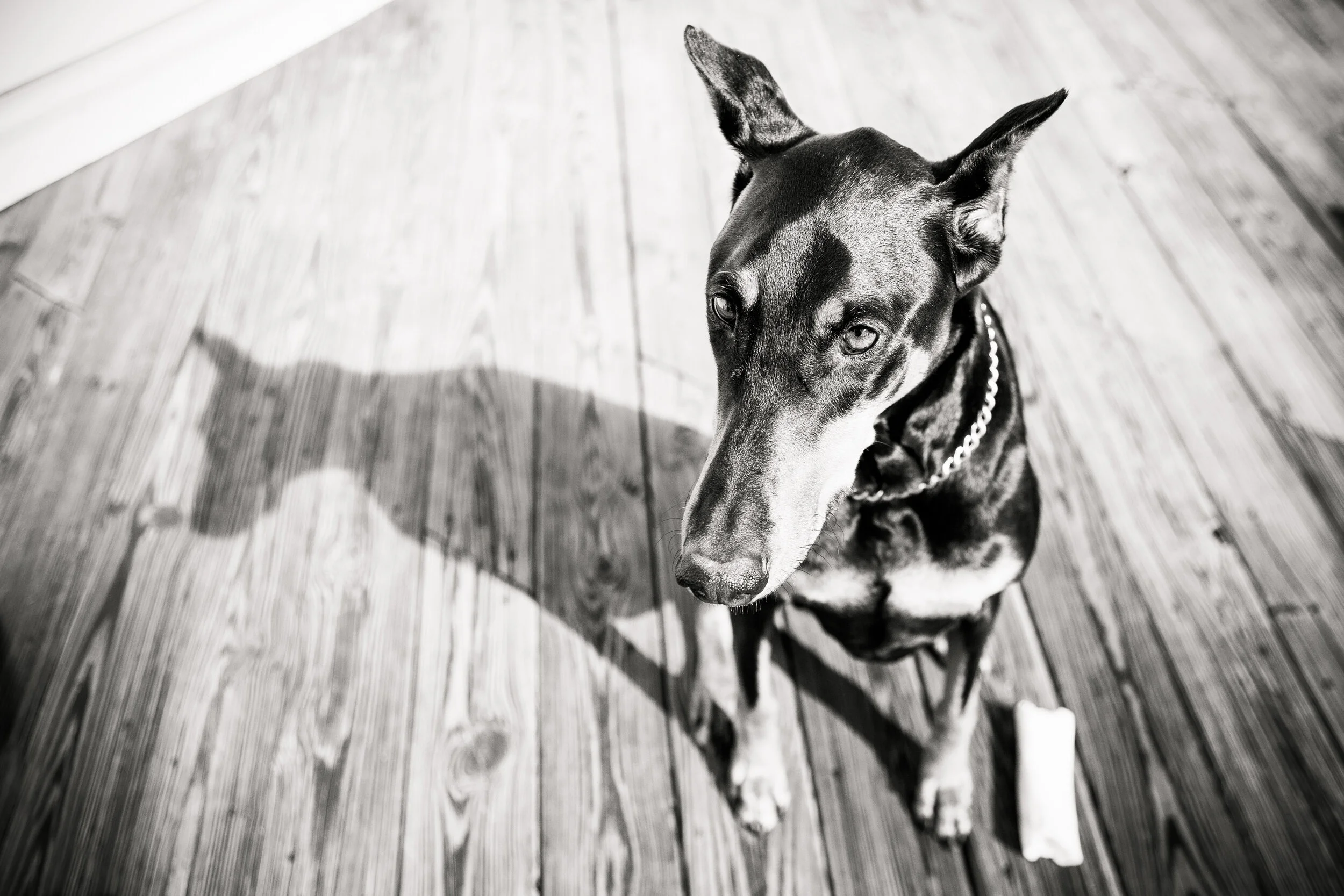NC13-0217-125-Edit-Edit.jpg