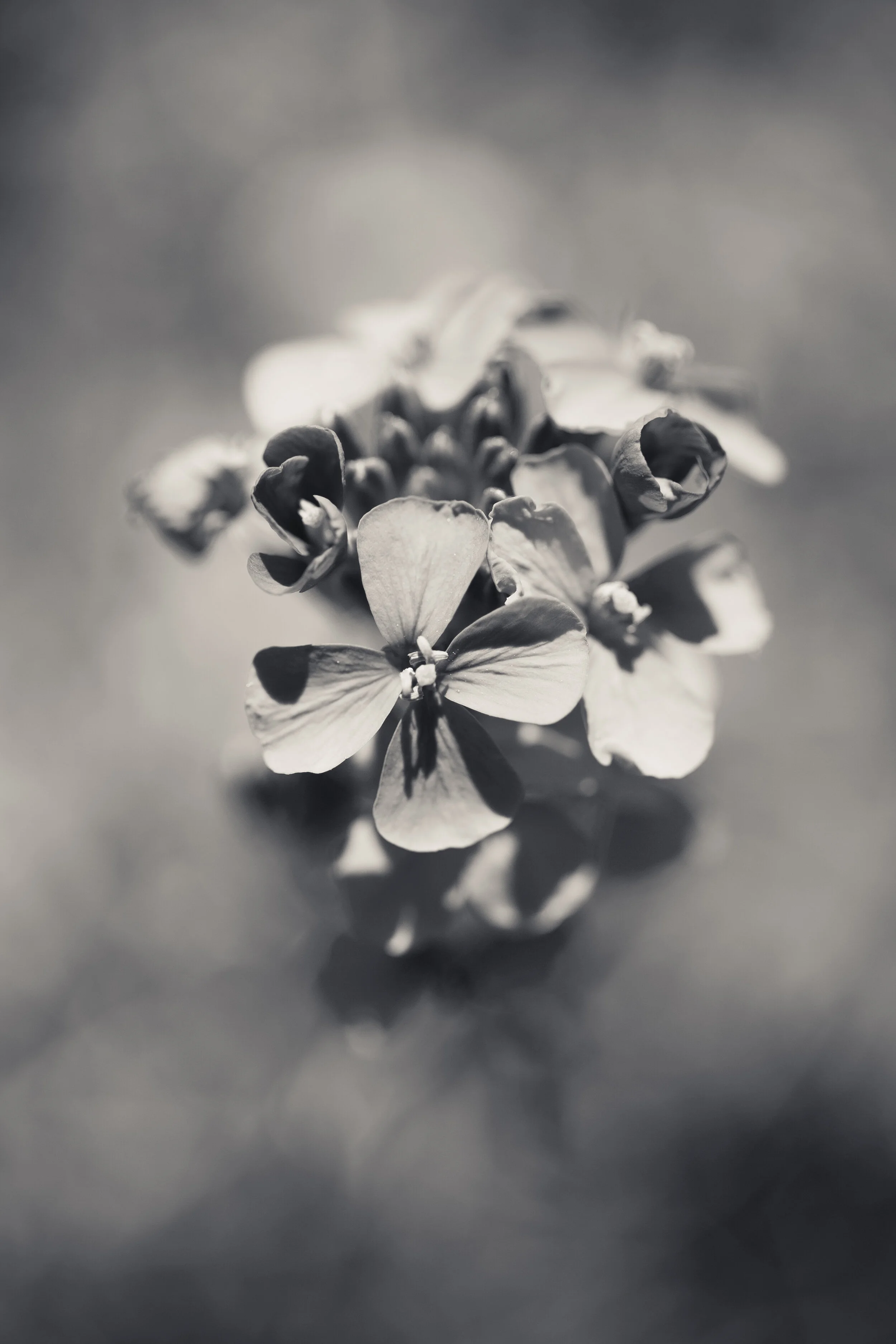 CB-0615-034.jpg