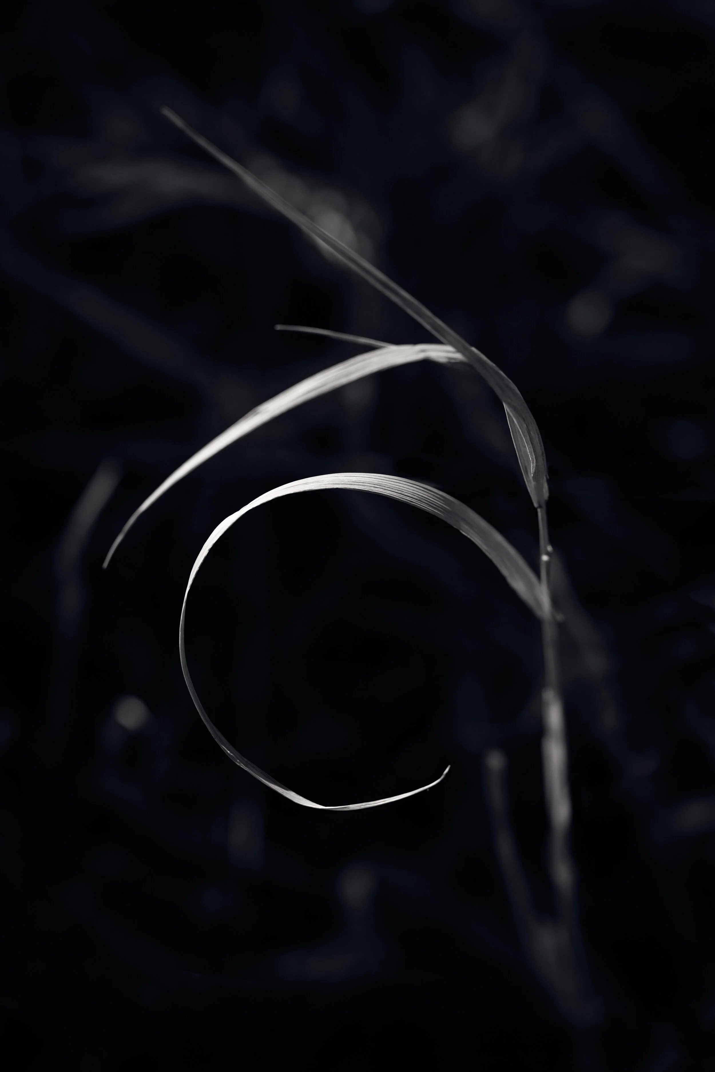 CP-0220-057-Edit-Edit.jpg
