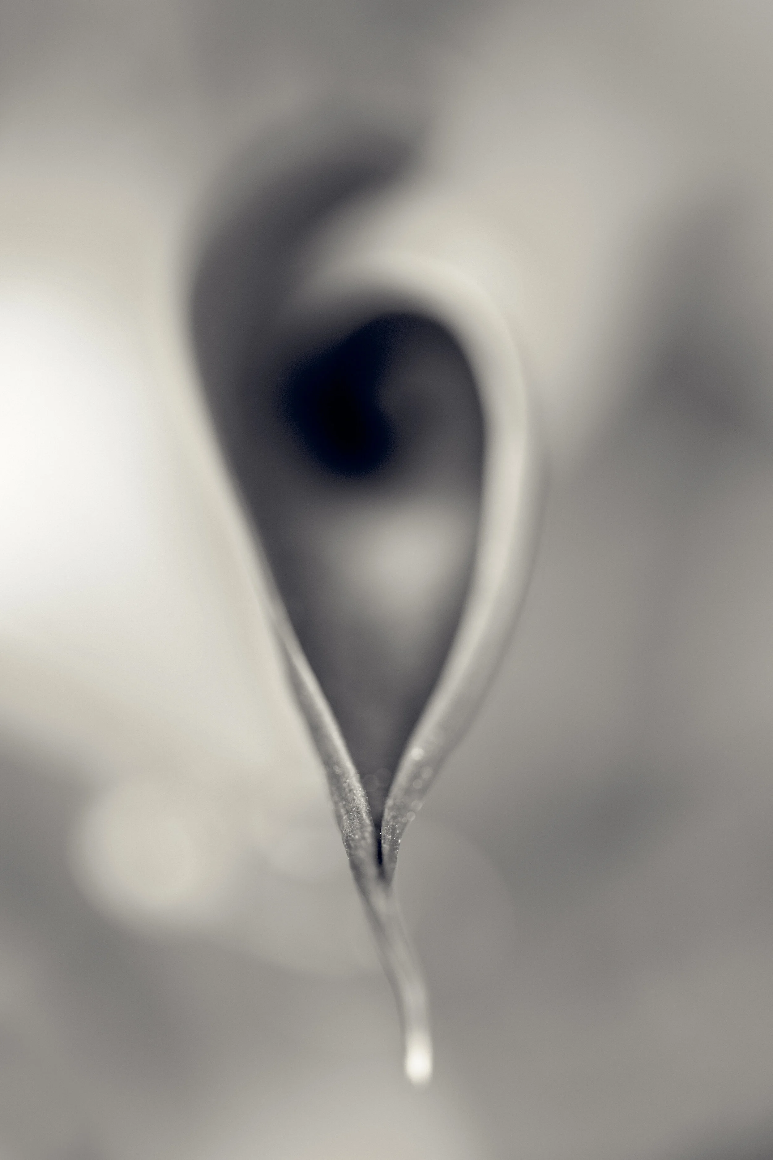 DBG-0323-525-Edit.jpg