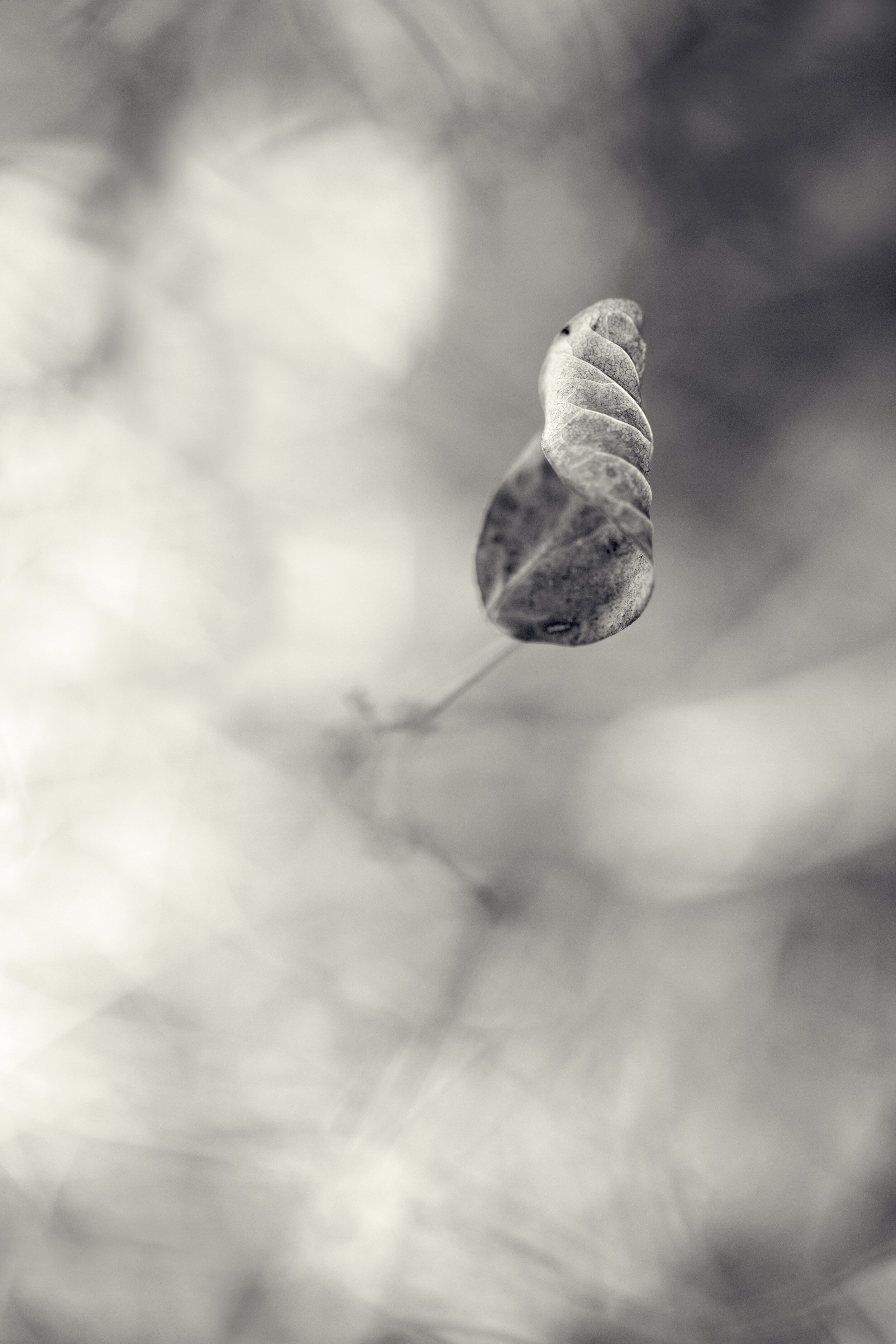 DBG-0323-405-Edit.jpg
