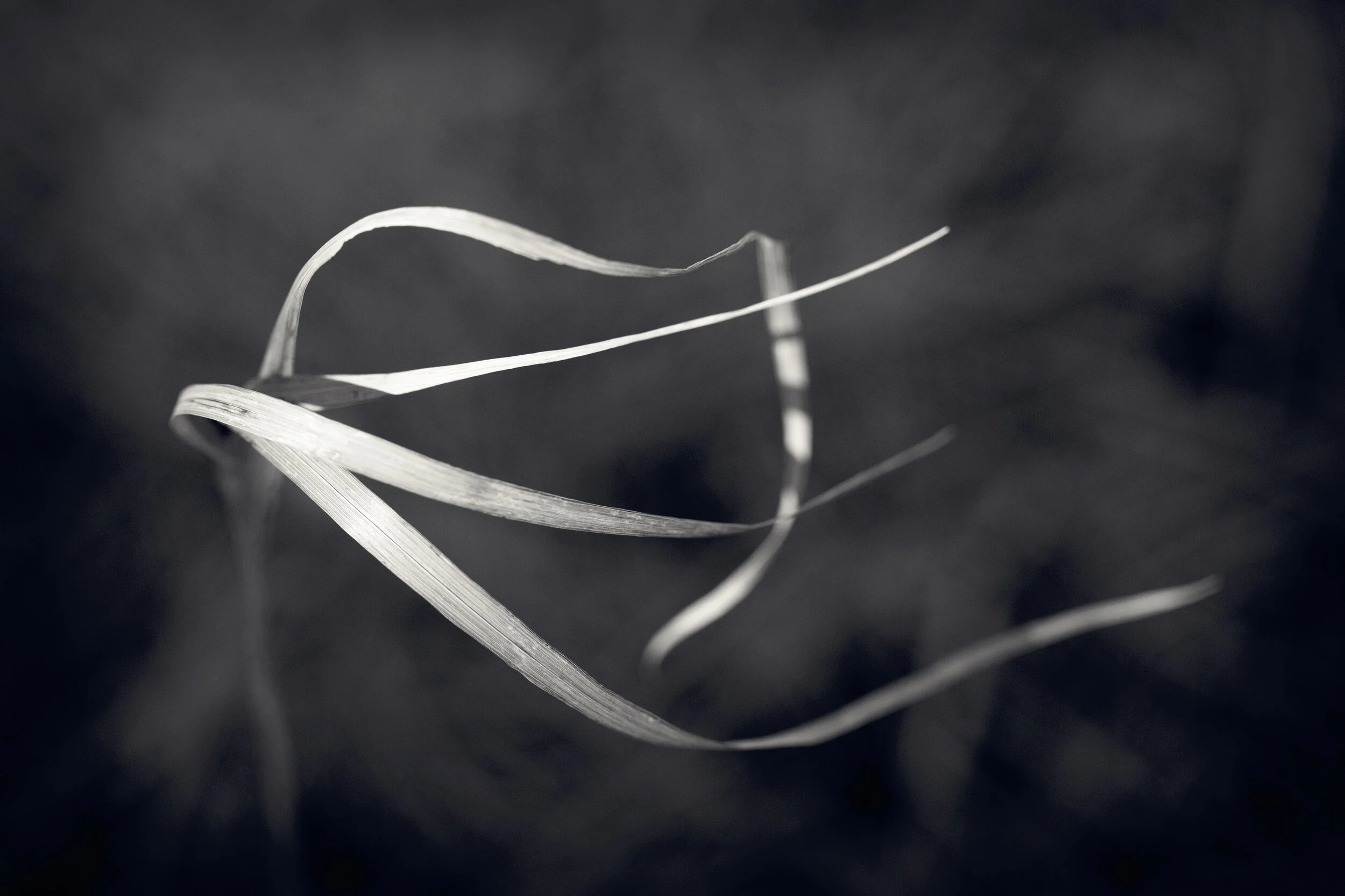 DD-0205-127-Edit.jpg