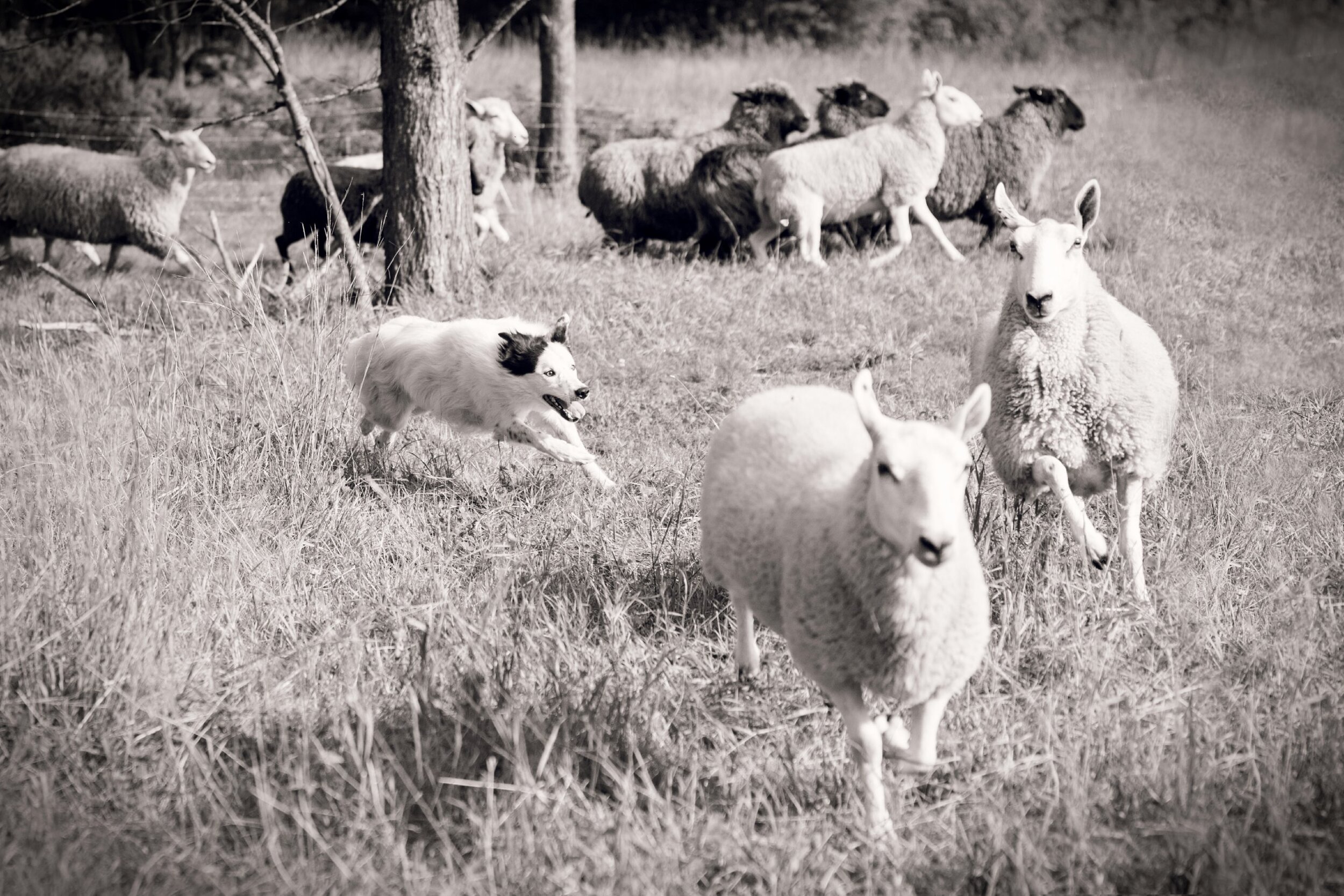 15_20140504165130_5159235_xlarge.jpg