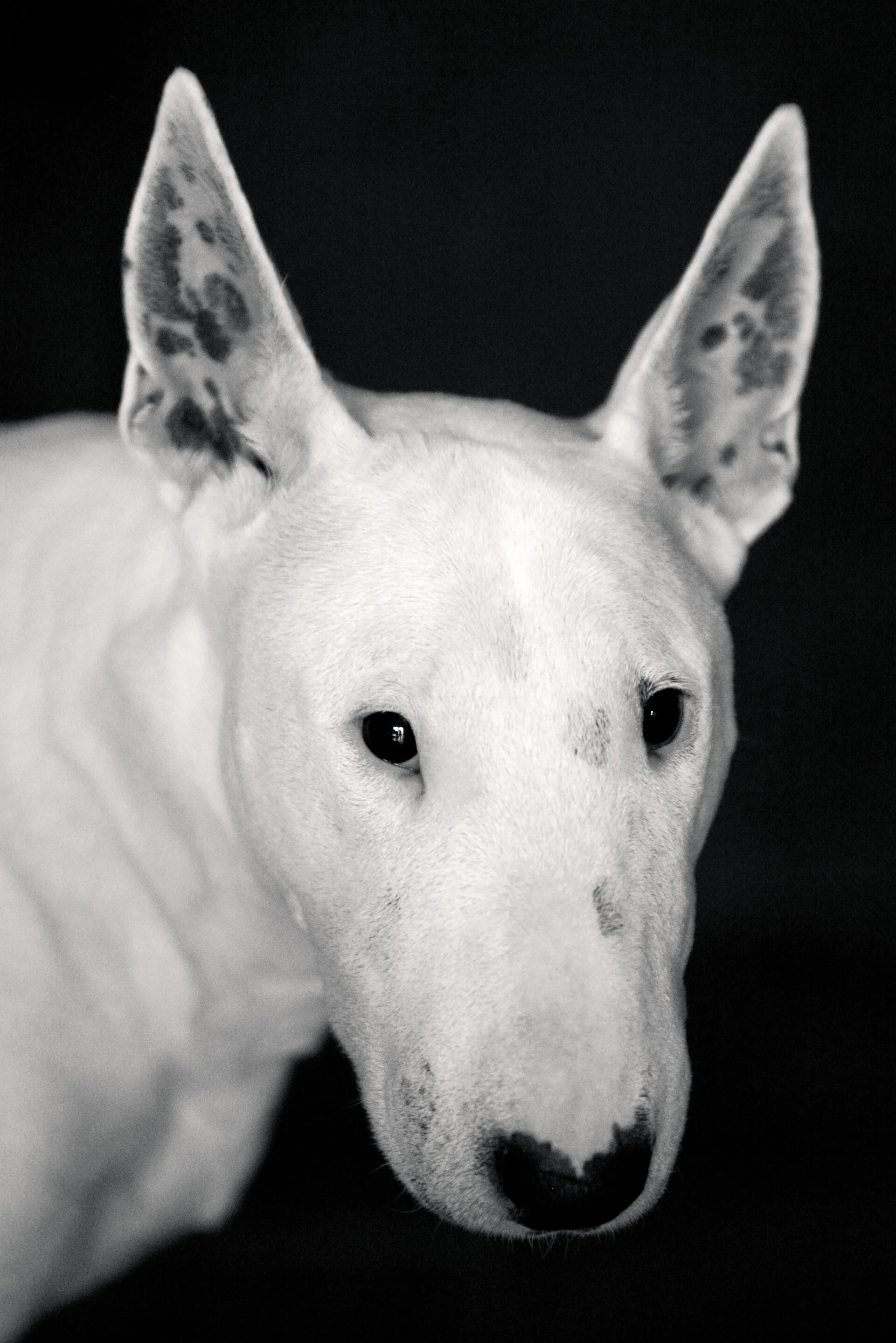 LR-1212-1391-Edit-Edit-Edit.jpg