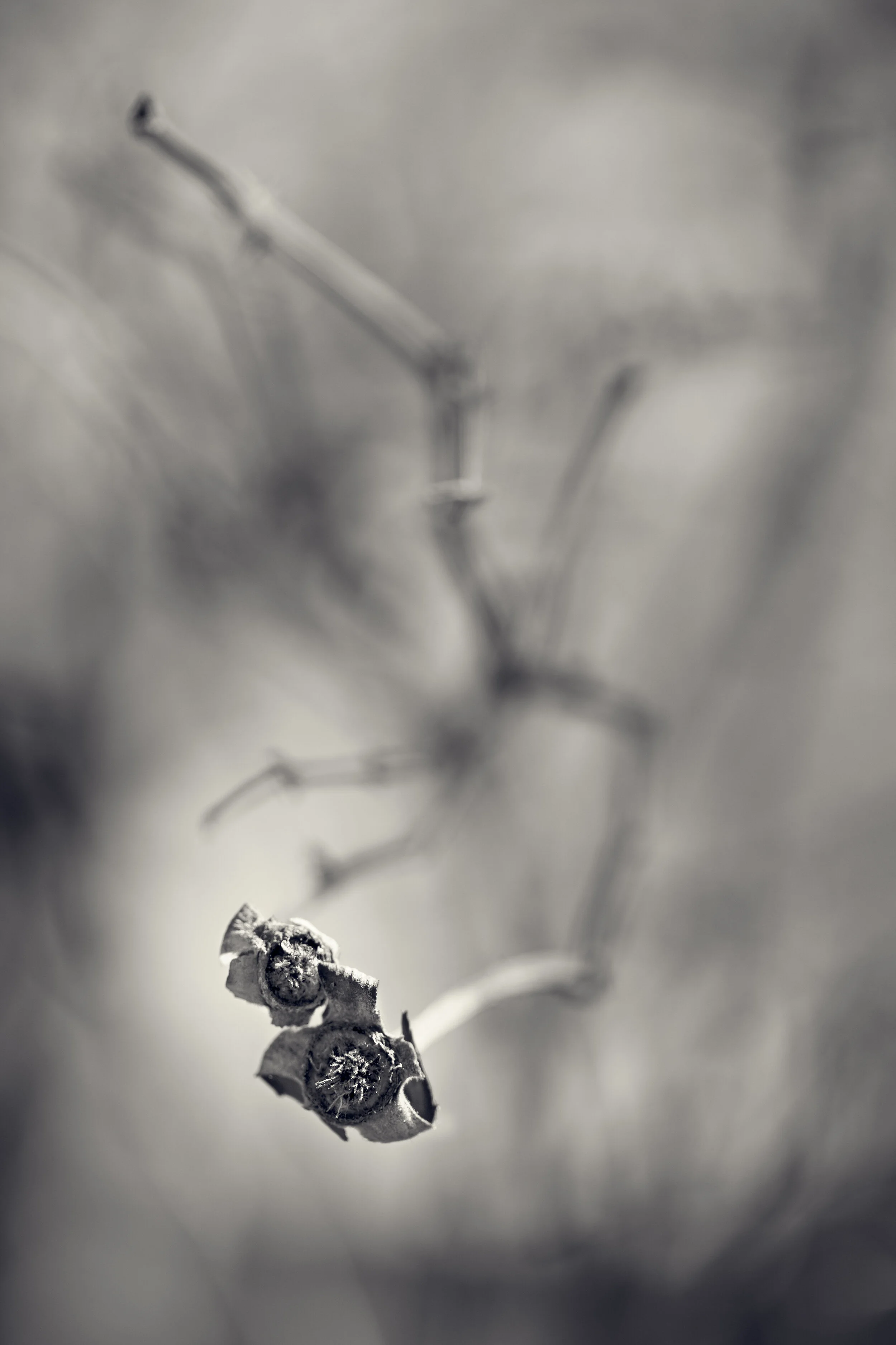 DBG-0323-091-Edit.jpg