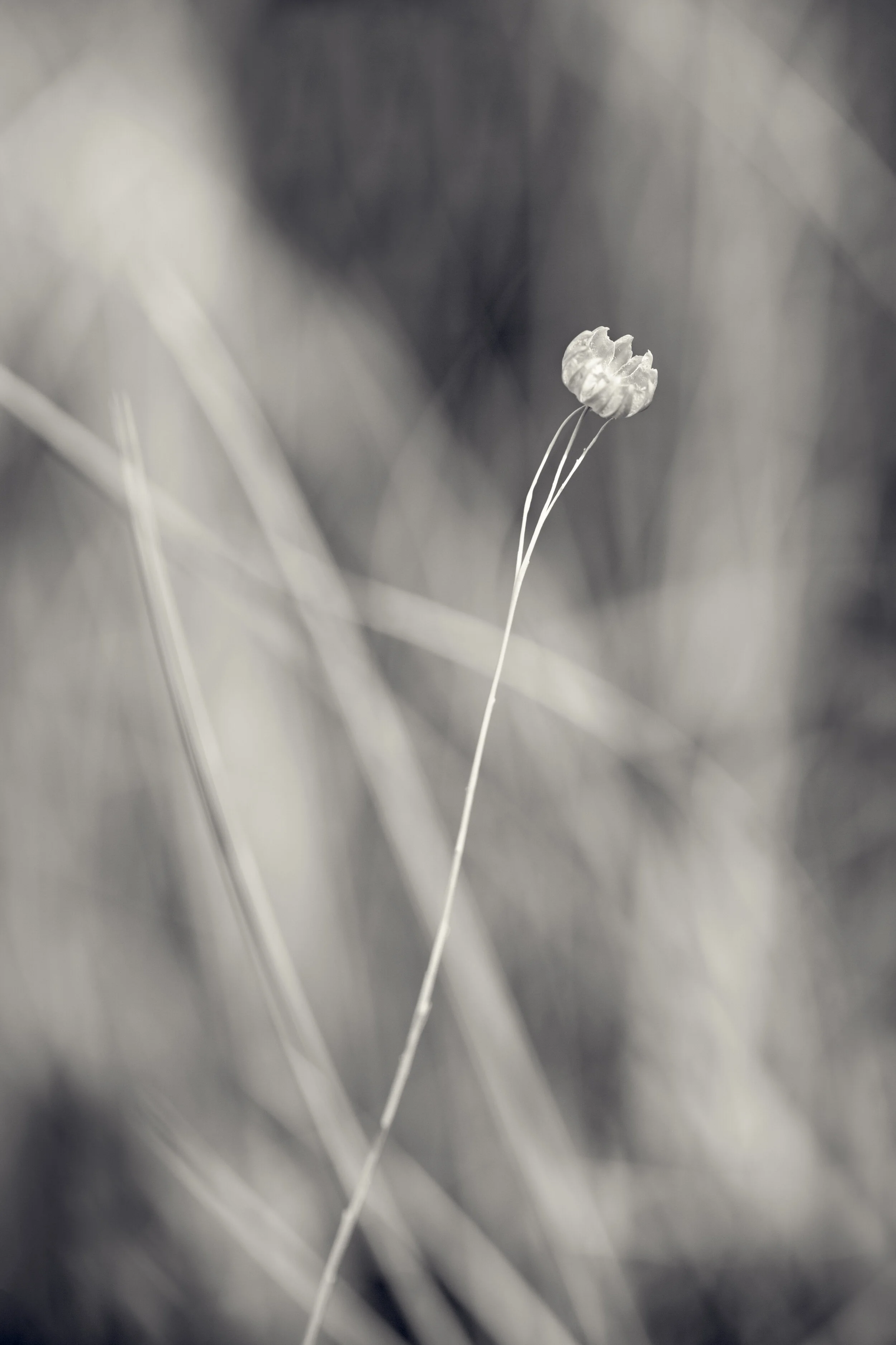 FH-0306-376-Edit.jpg