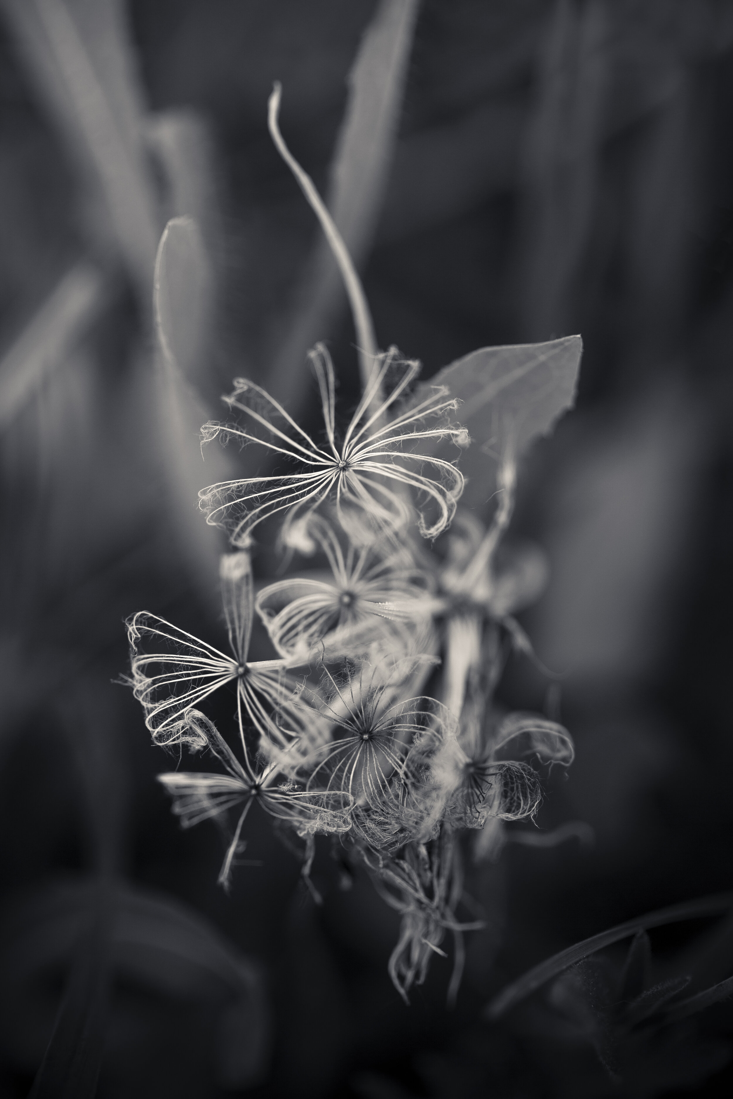CQ-0609-282-Edit.jpg