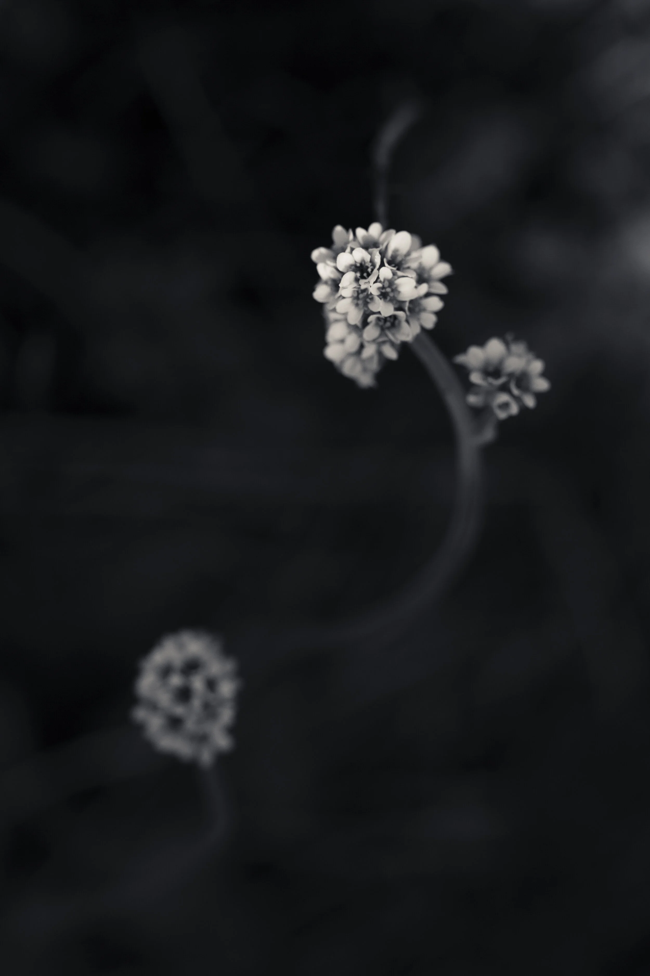 CB-0615-254.jpg