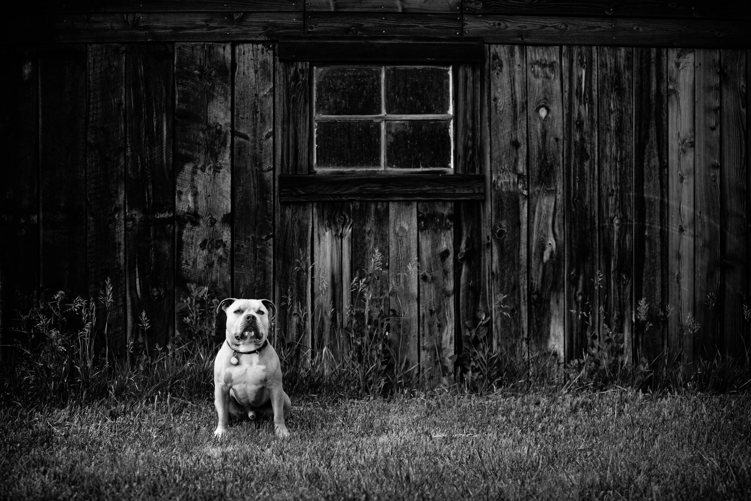 HashBrown-617-102-Edit-Edit.jpg