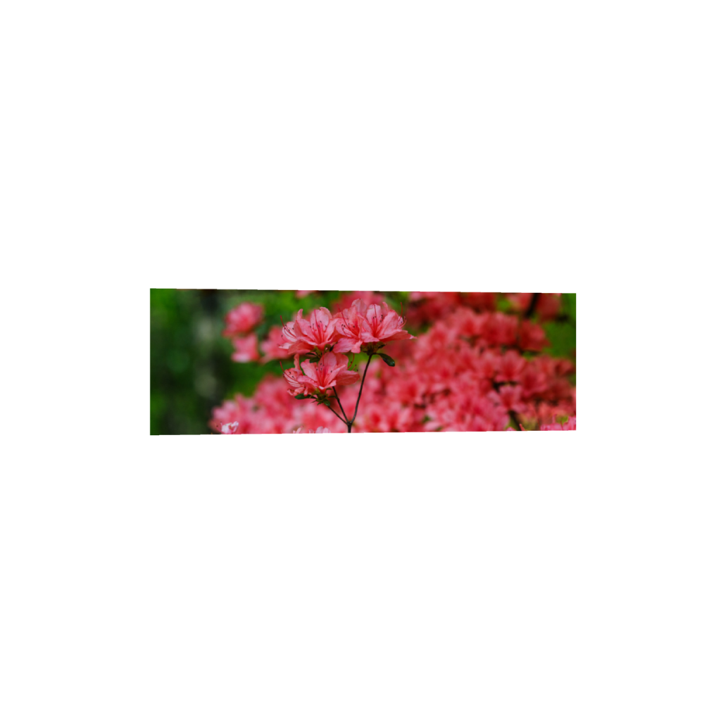 ptq_1_2_0_425_4256_1418_0_false_ffffff_0_0_.png