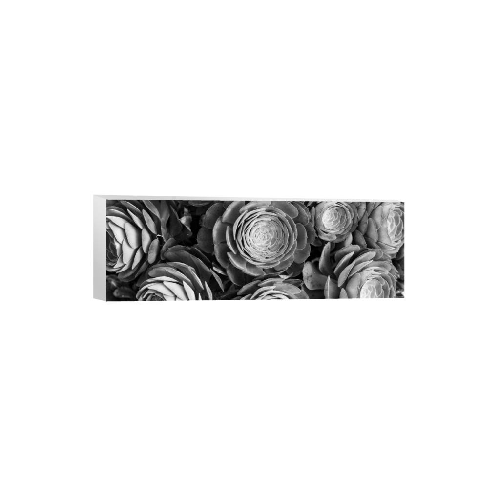ptq_7_2_0_1064_4256_1418_0_false_ffffff_0_0_.png