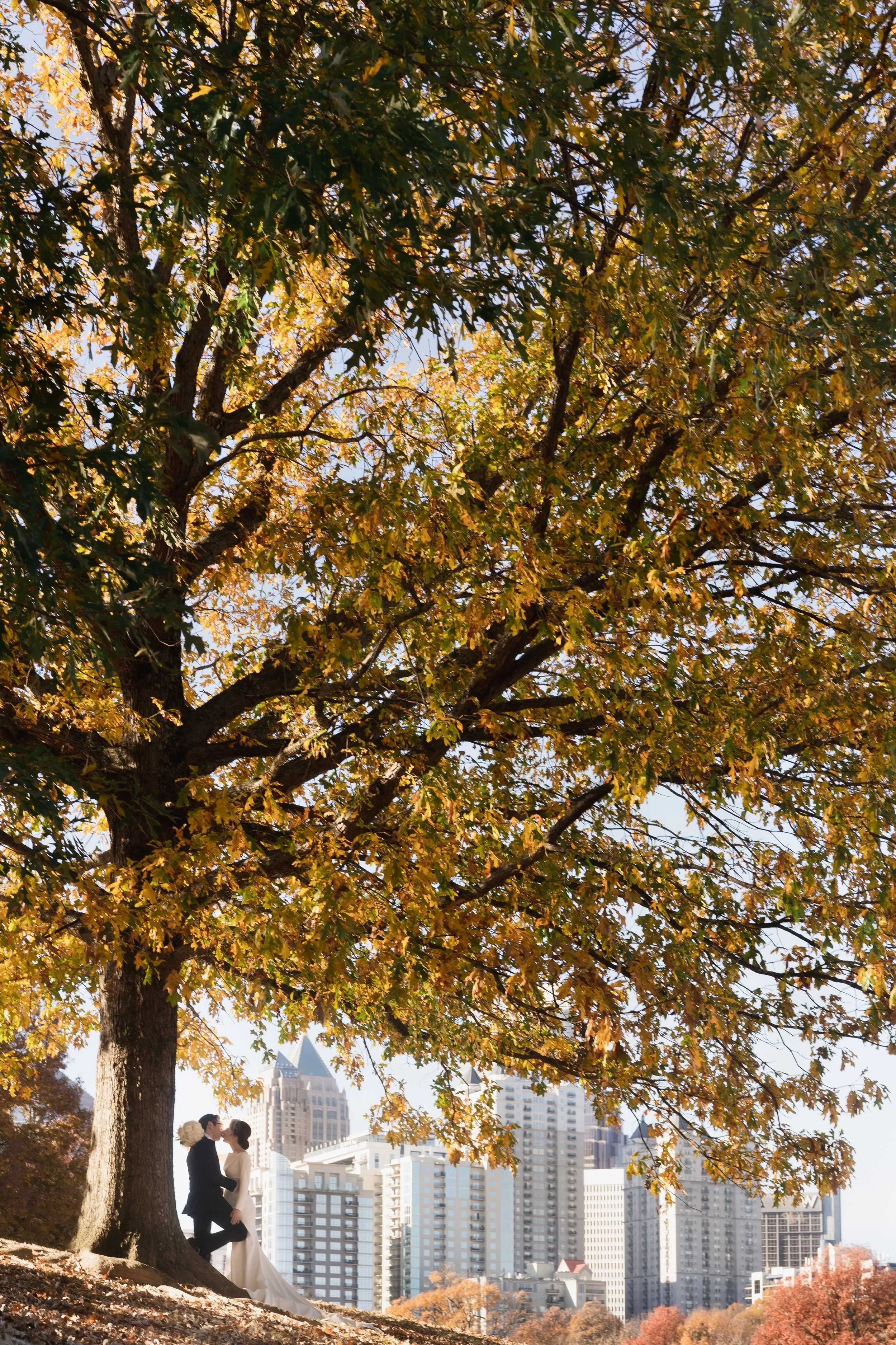 Wedding couple kissing under tree at Piedmont park