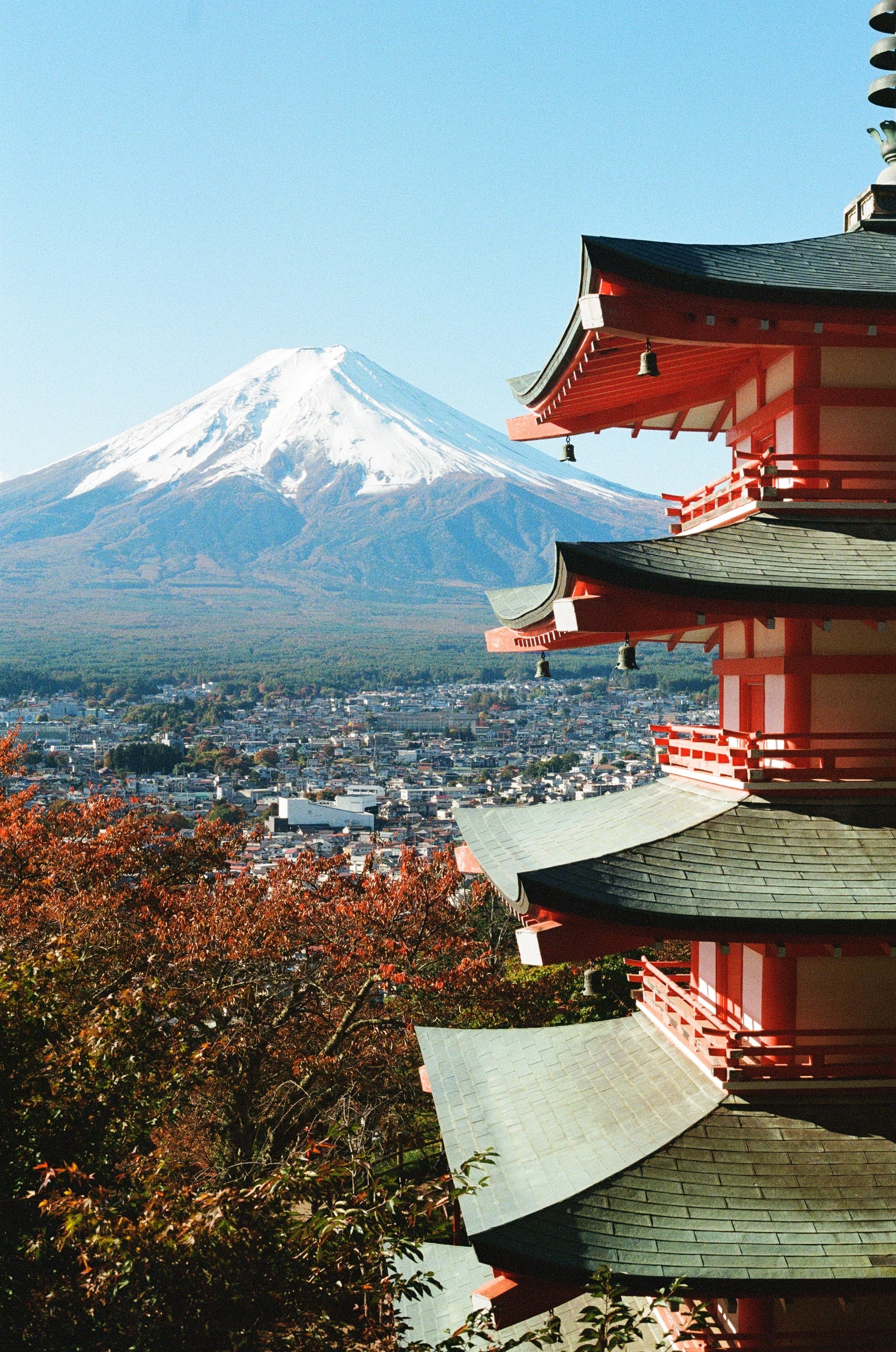 Japanese Film Diaries