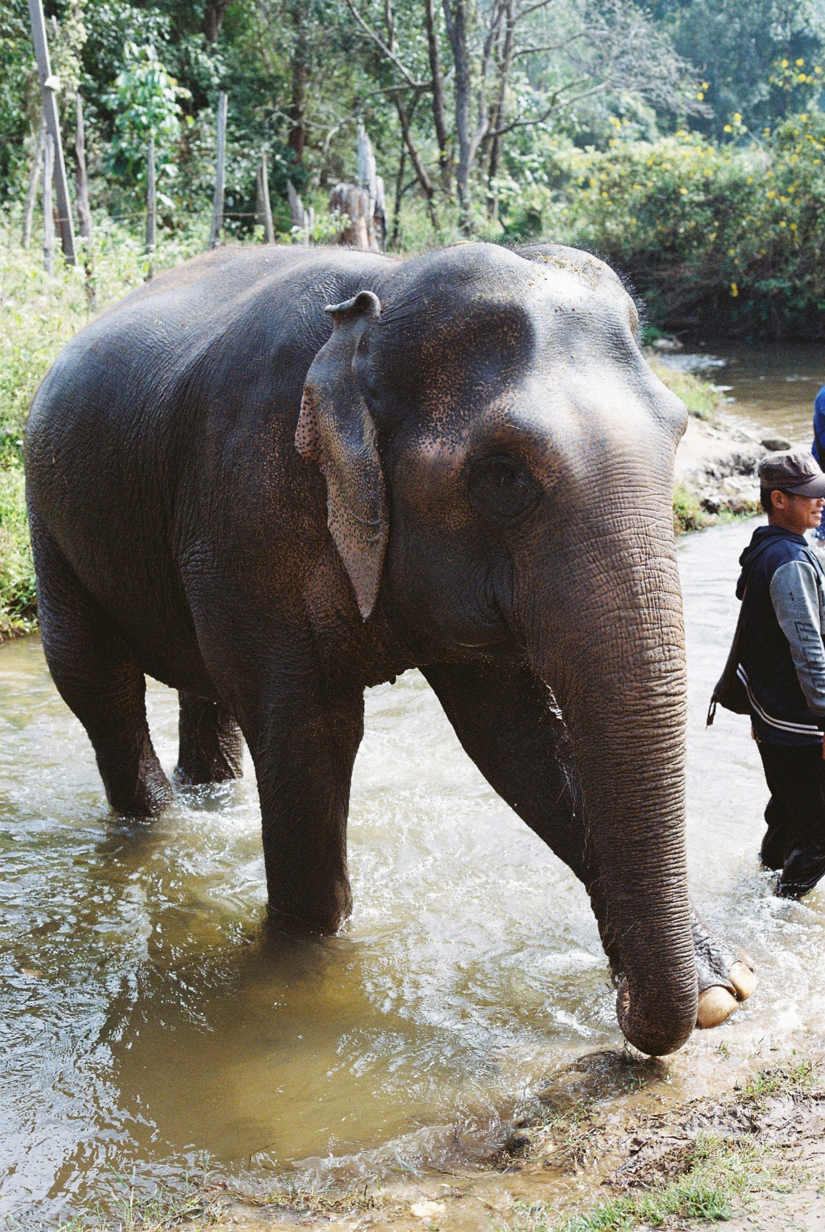 Chiang Mai, a love story