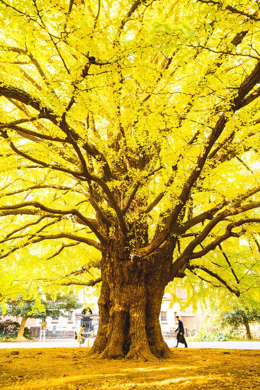 Welcome back to…a new 2026!