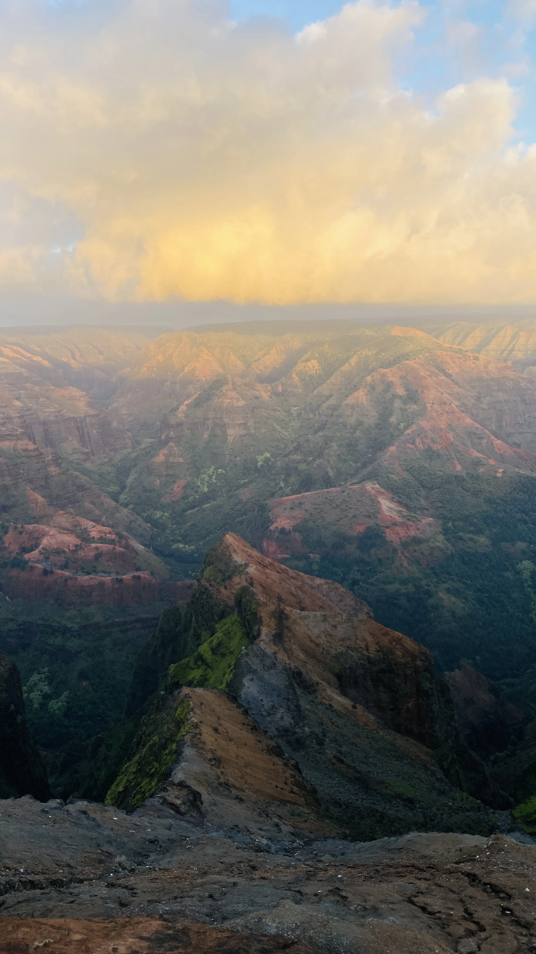 Hawaiian Dreamland: Kauai 🪴🏝️🌺