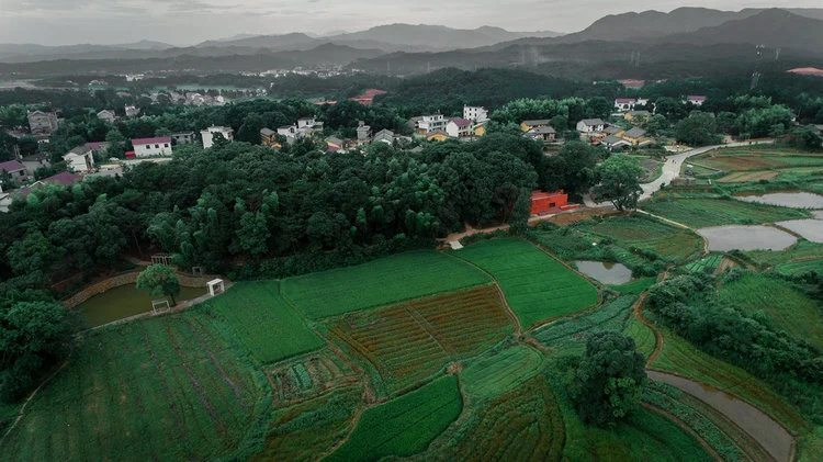xiamutang+teaching+resturaunt+(11).jpg