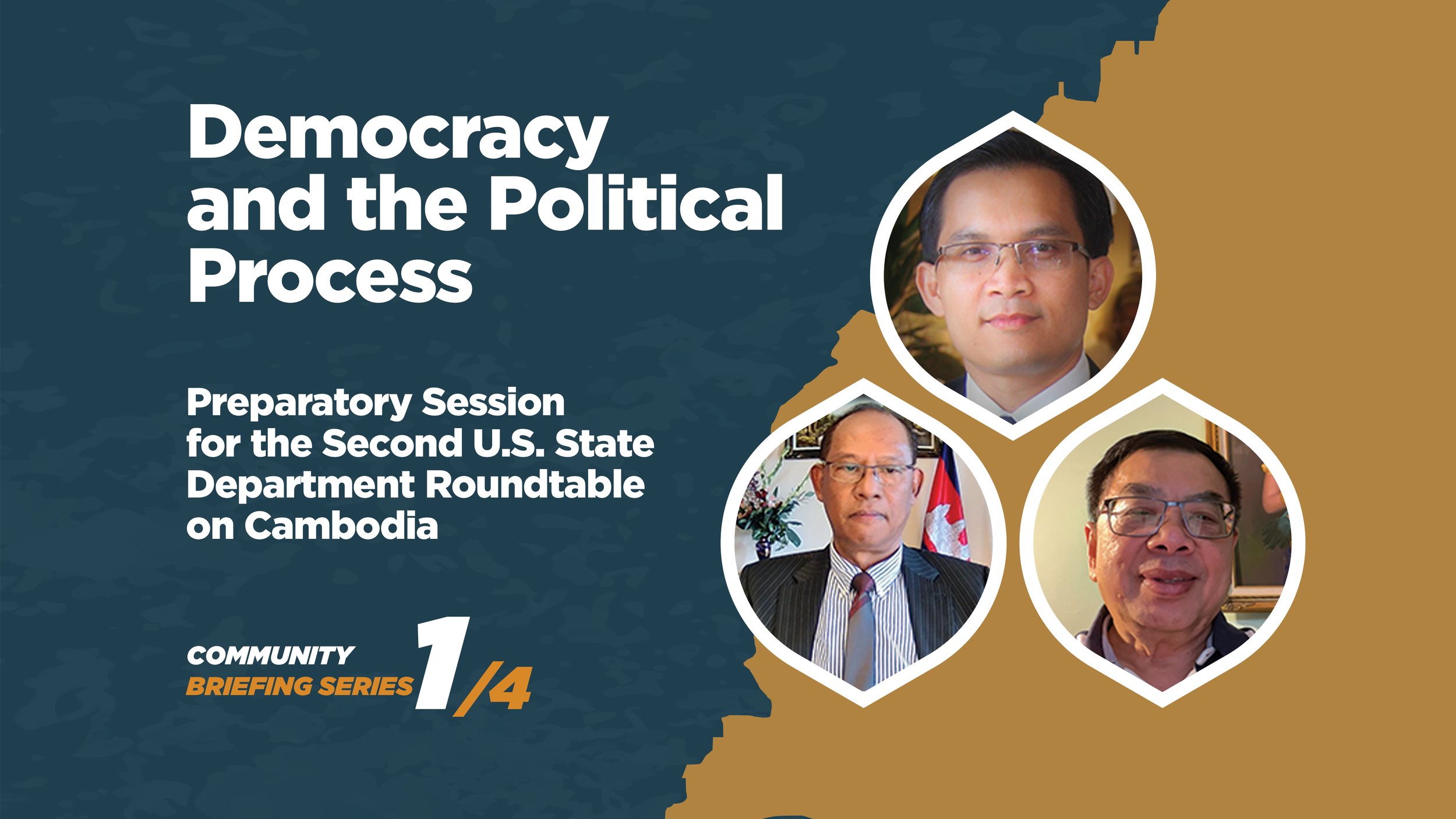 Democracy and the Political Process Community Discussion