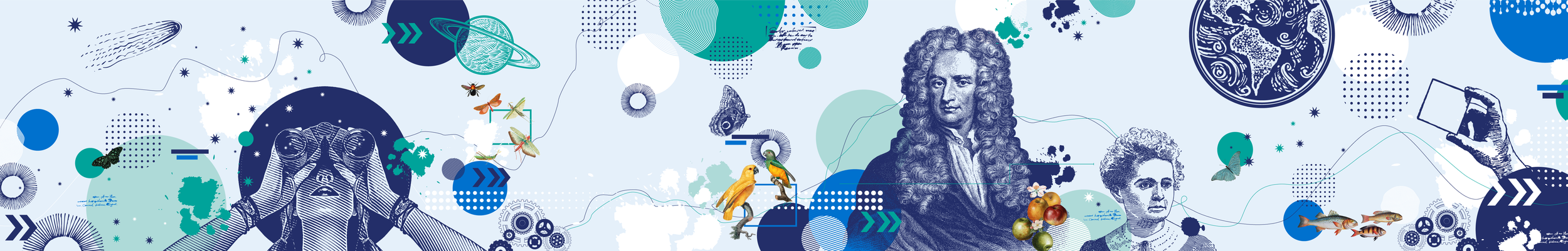 Haines_Window_Film_Graphic_reduced.png