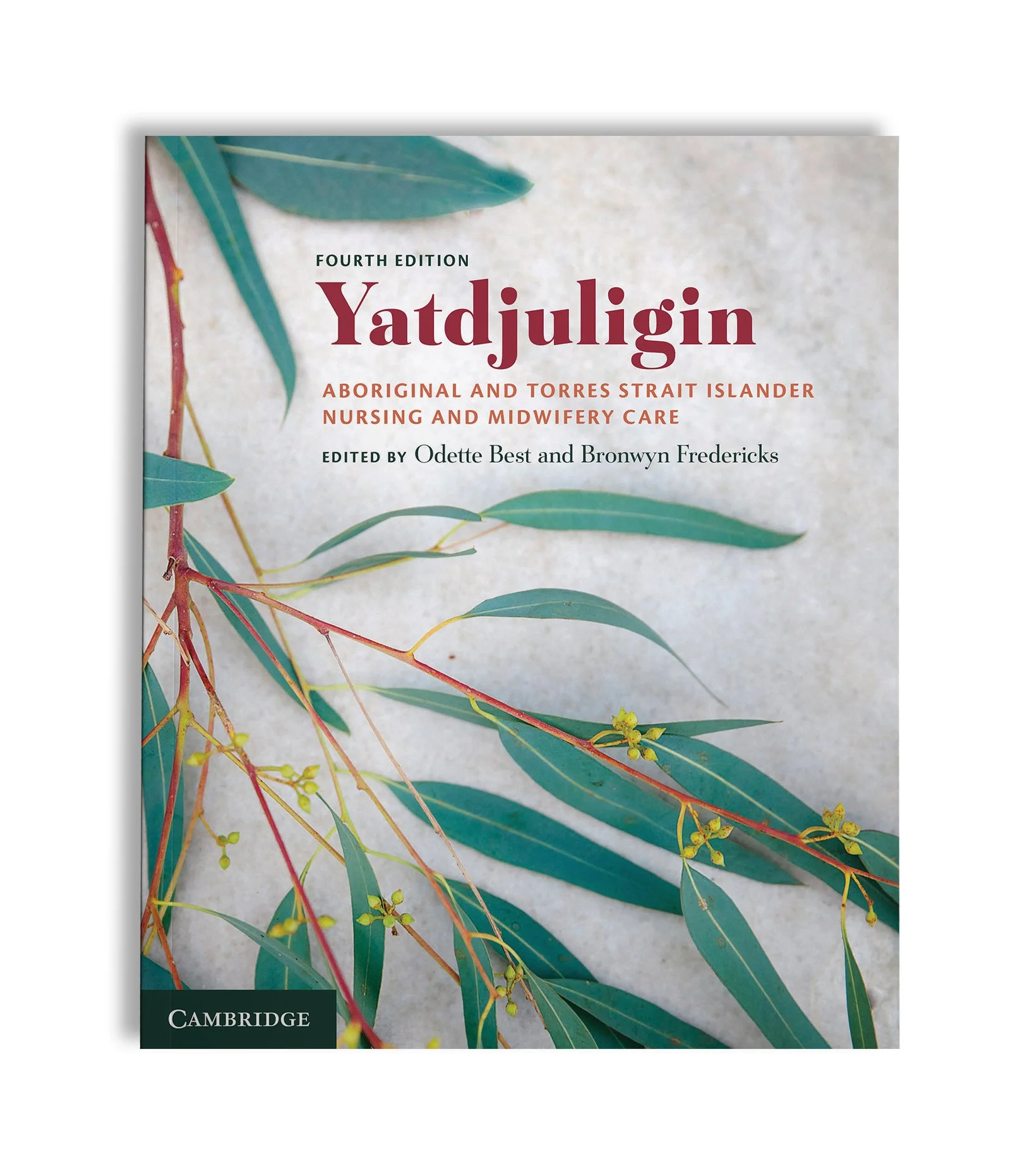 Yadjuligin.jpg