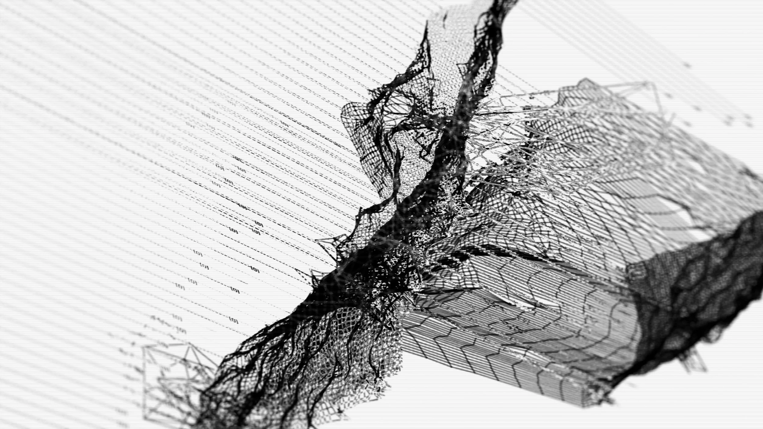 BW PUNCH2_00224_00000.jpeg