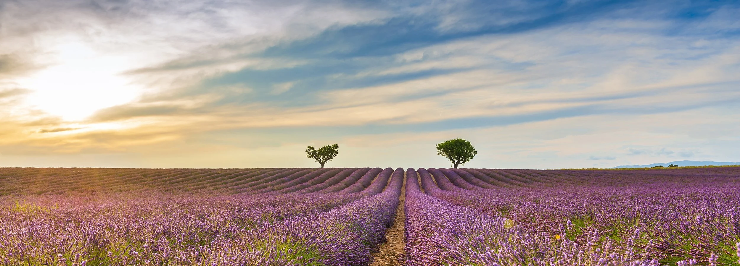 About — Dolce Vita Travel