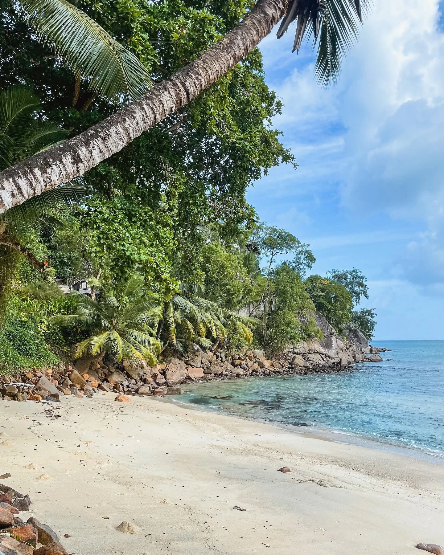 Safari one week. Private island the next. 🌴

Yes, all in Africa.

When people picture a trip to Africa, they often think of open savannahs, sunrise game drives, and spotting wildlife from the back of a jeep. And while that&rsquo;s certainly part of 