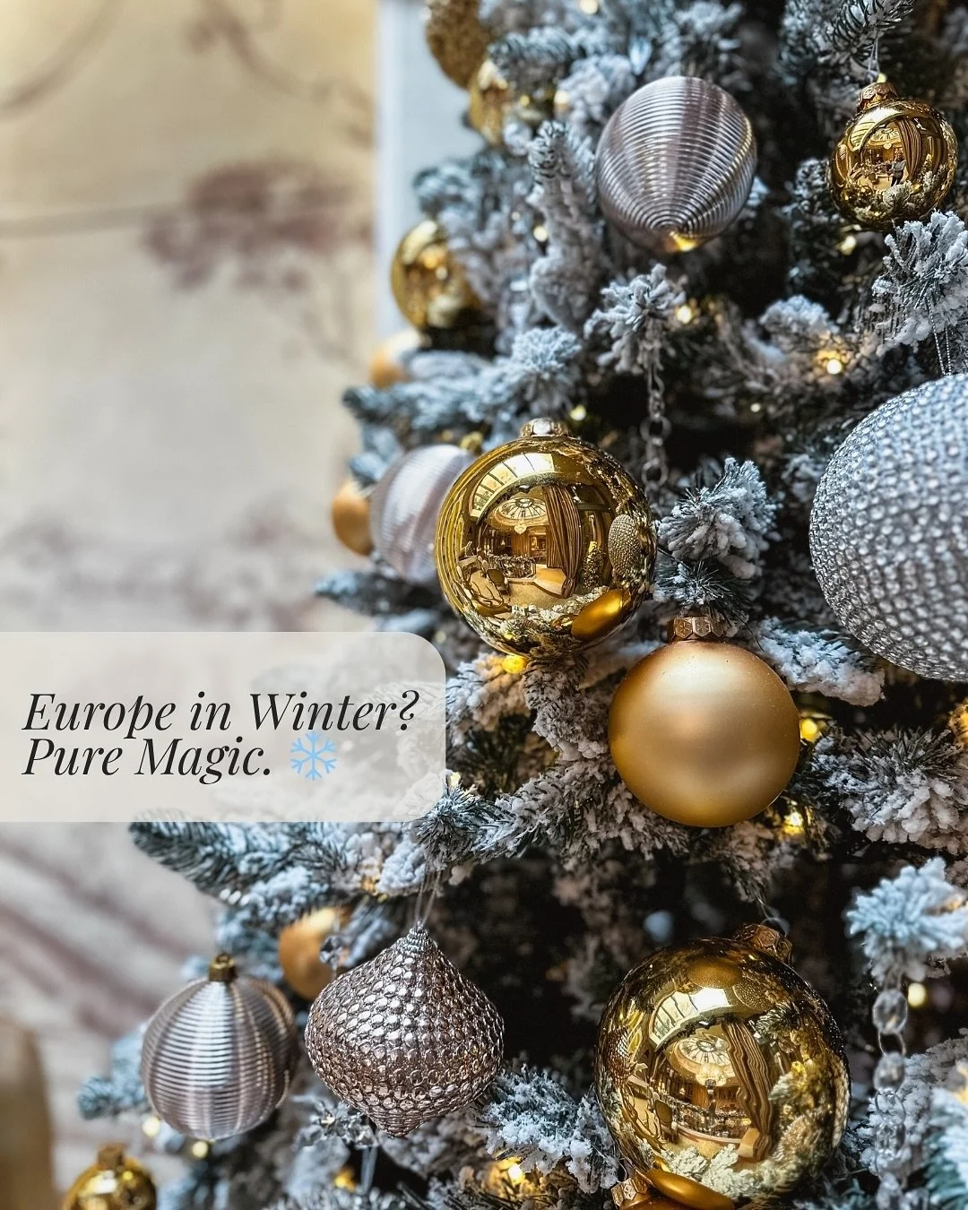Europe in the winter feels like something out of a storybook. ✨

Think twinkling Christmas markets in towns like Verona, Riva del Garda, Trento, and Merano, each one glowing with festive charm. Snow-dusted rooftops and candlelit caf&eacute;s. Scenic 