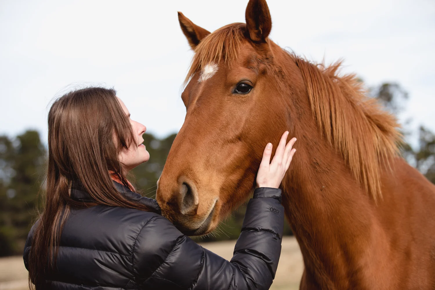 Tasmania Horse Riding — Tasmania Without a Car