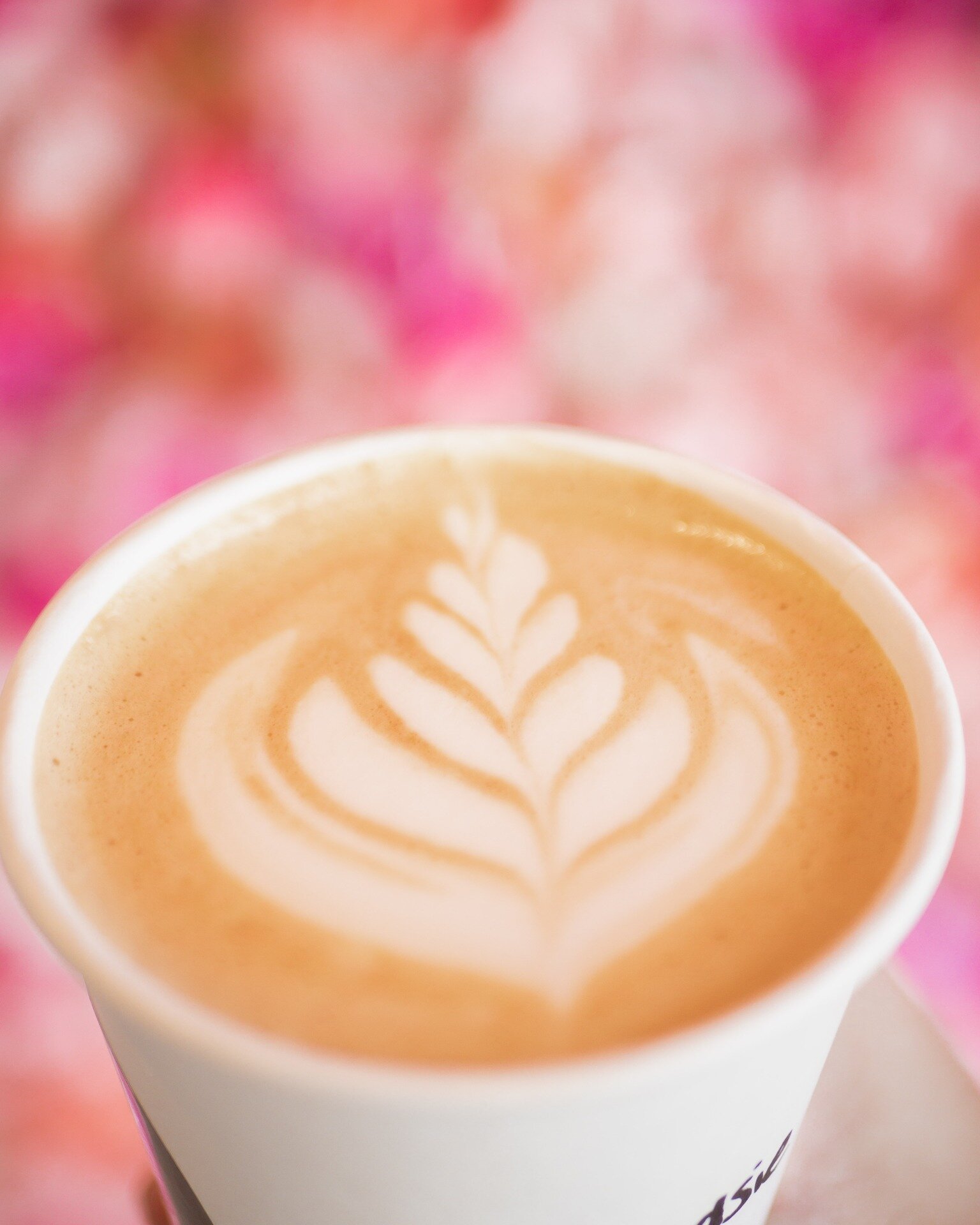 Happy Valentine's Day! 🫶

Share this if coffee is your Valentine today 😍☕