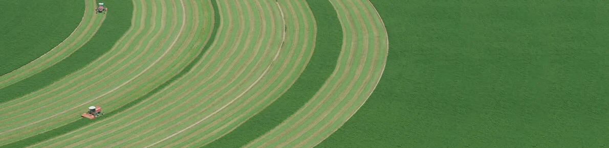 global-reach-image3.jpg