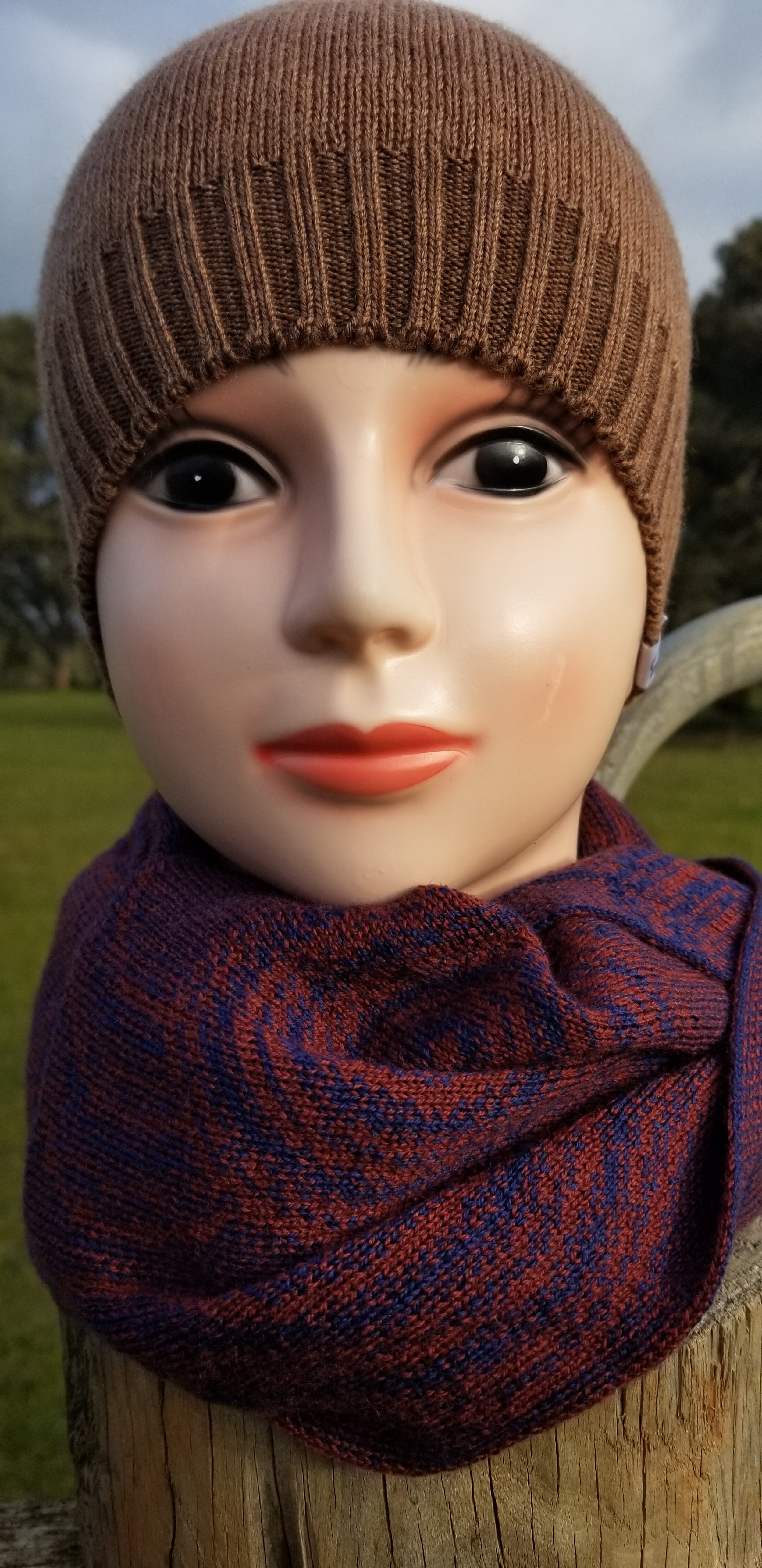 20230723_160455.jpg