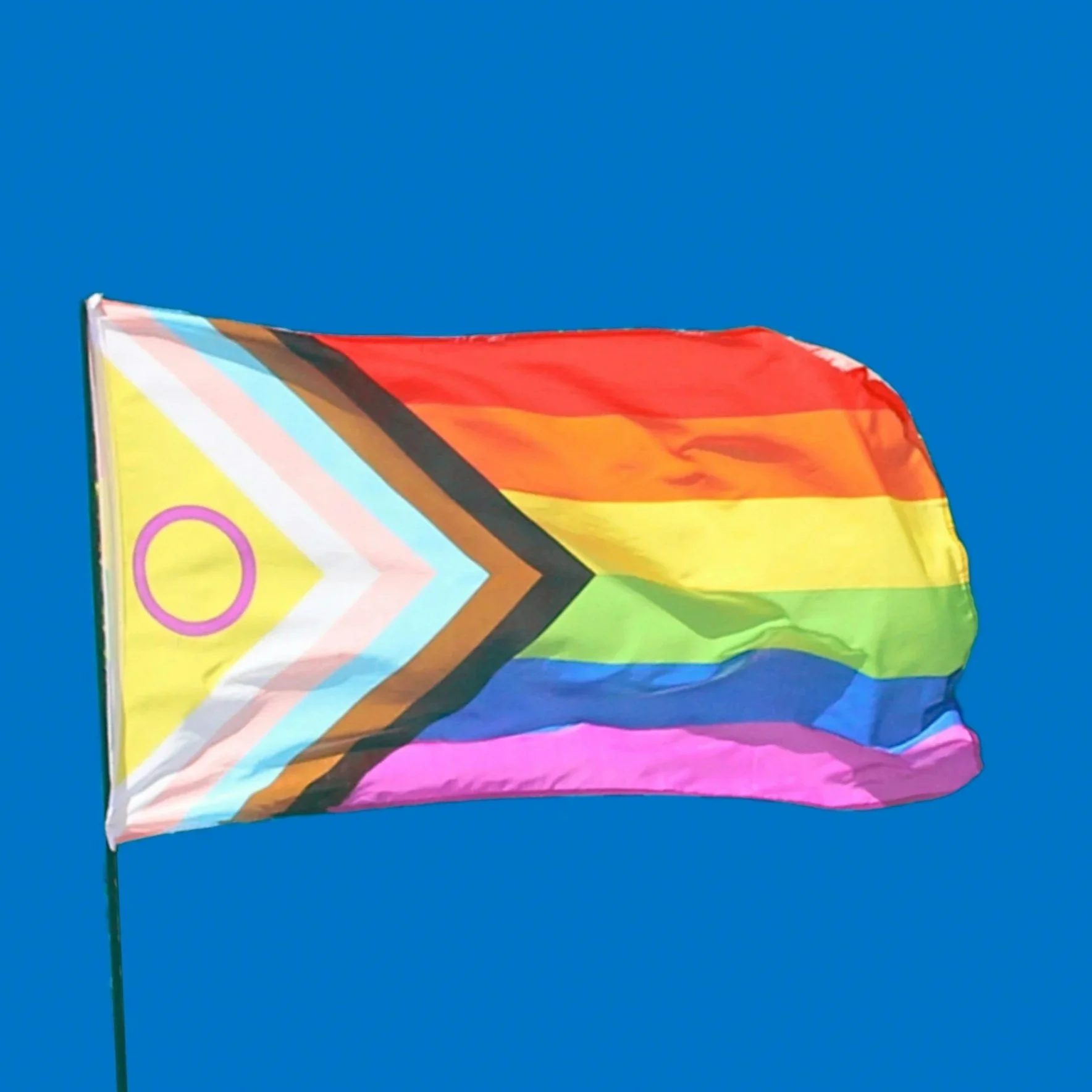 Celebrating Pride Month: Inclusion, Diversity, and Community