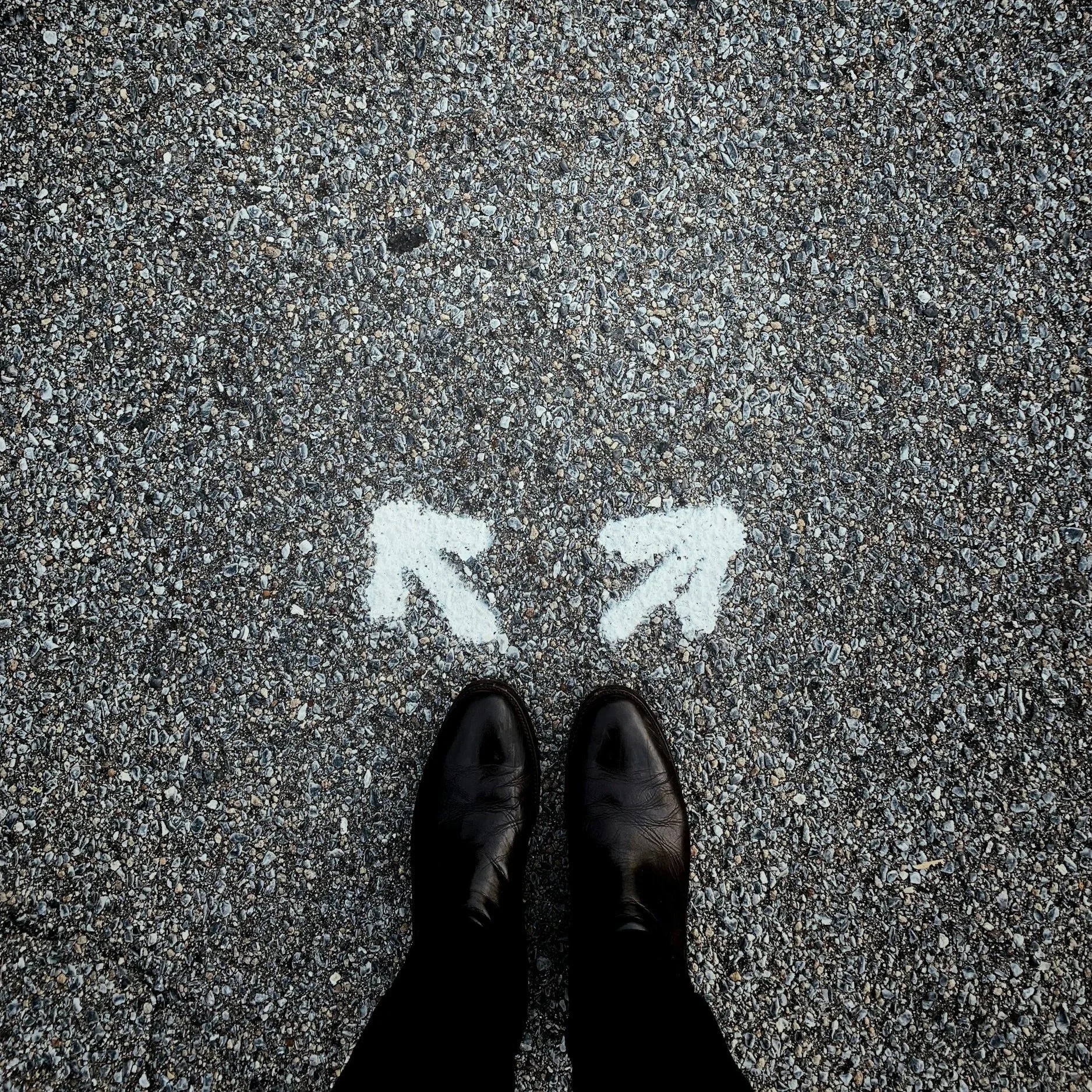 From Study to Job: What Happens After You Finish Your Course?