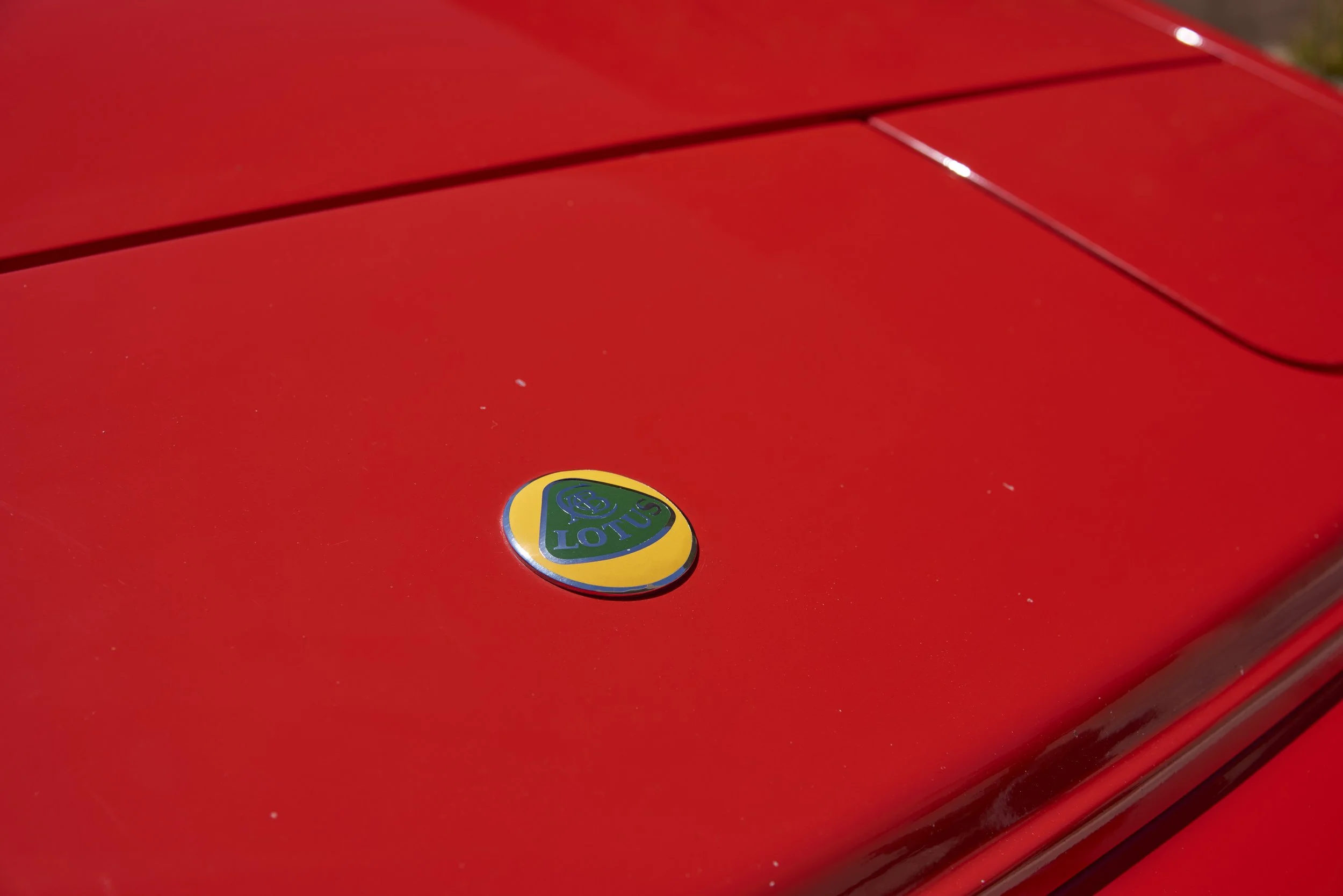 BADGE_1.jpg