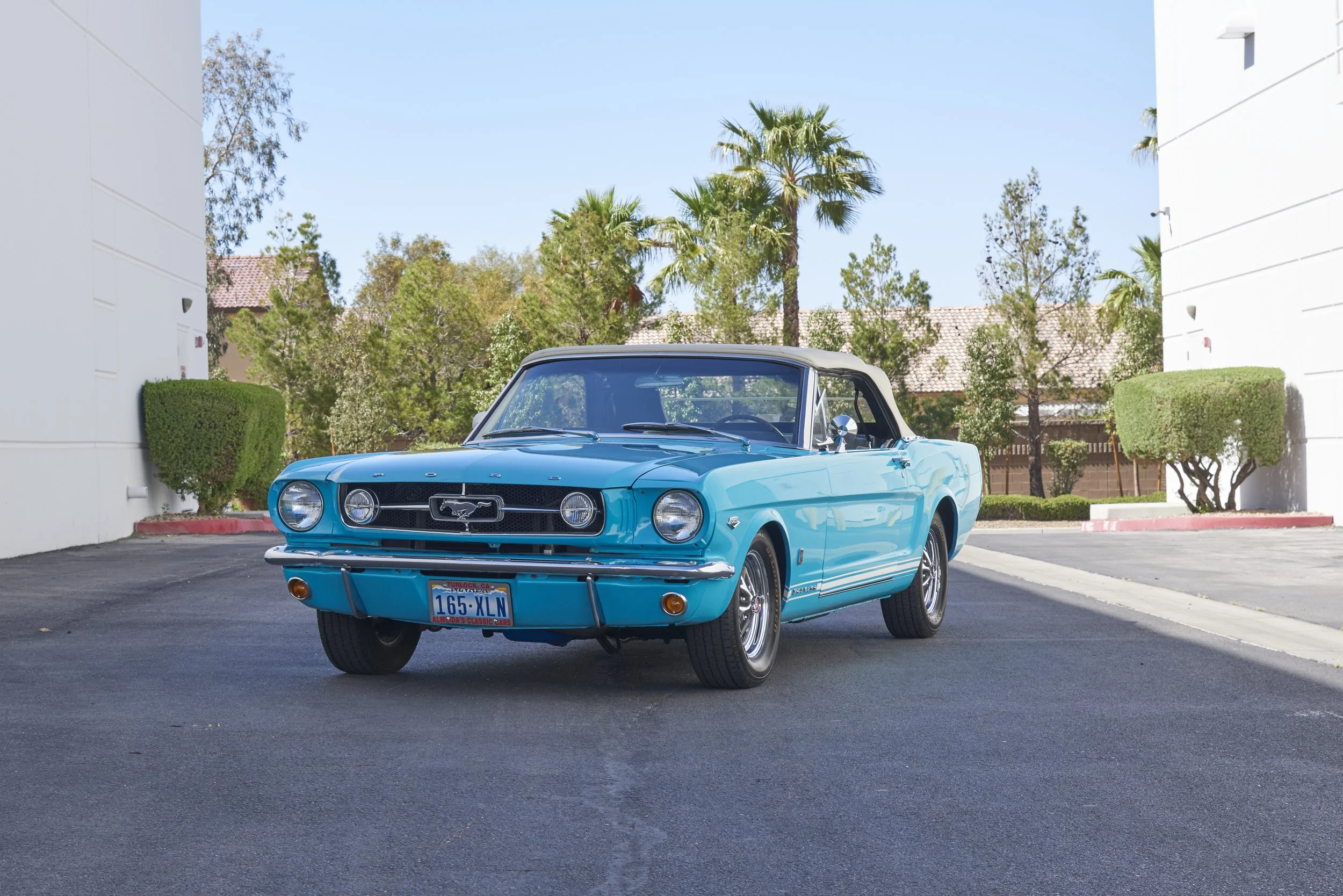 MUSTANG645VERT_052122_01.jpg