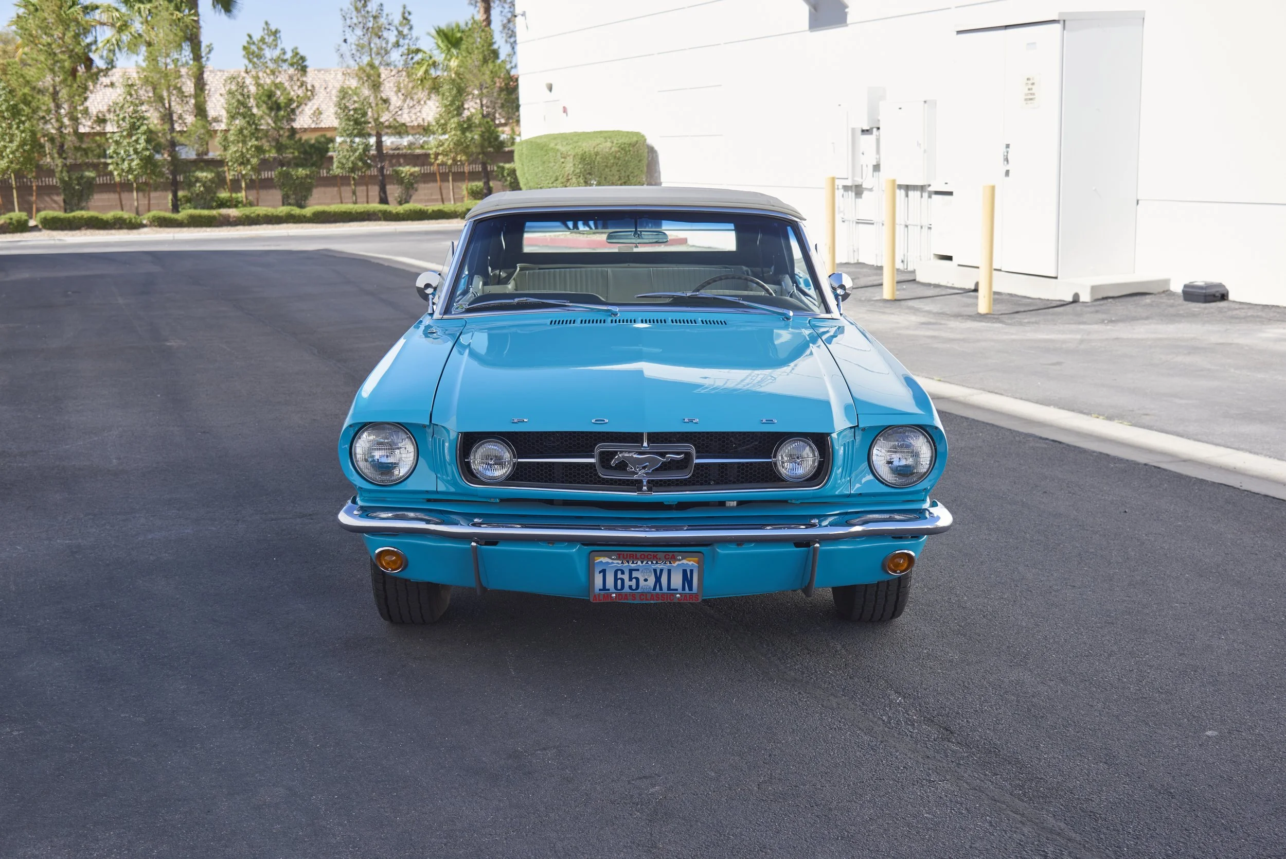 MUSTANG645VERT_052122_34.jpg