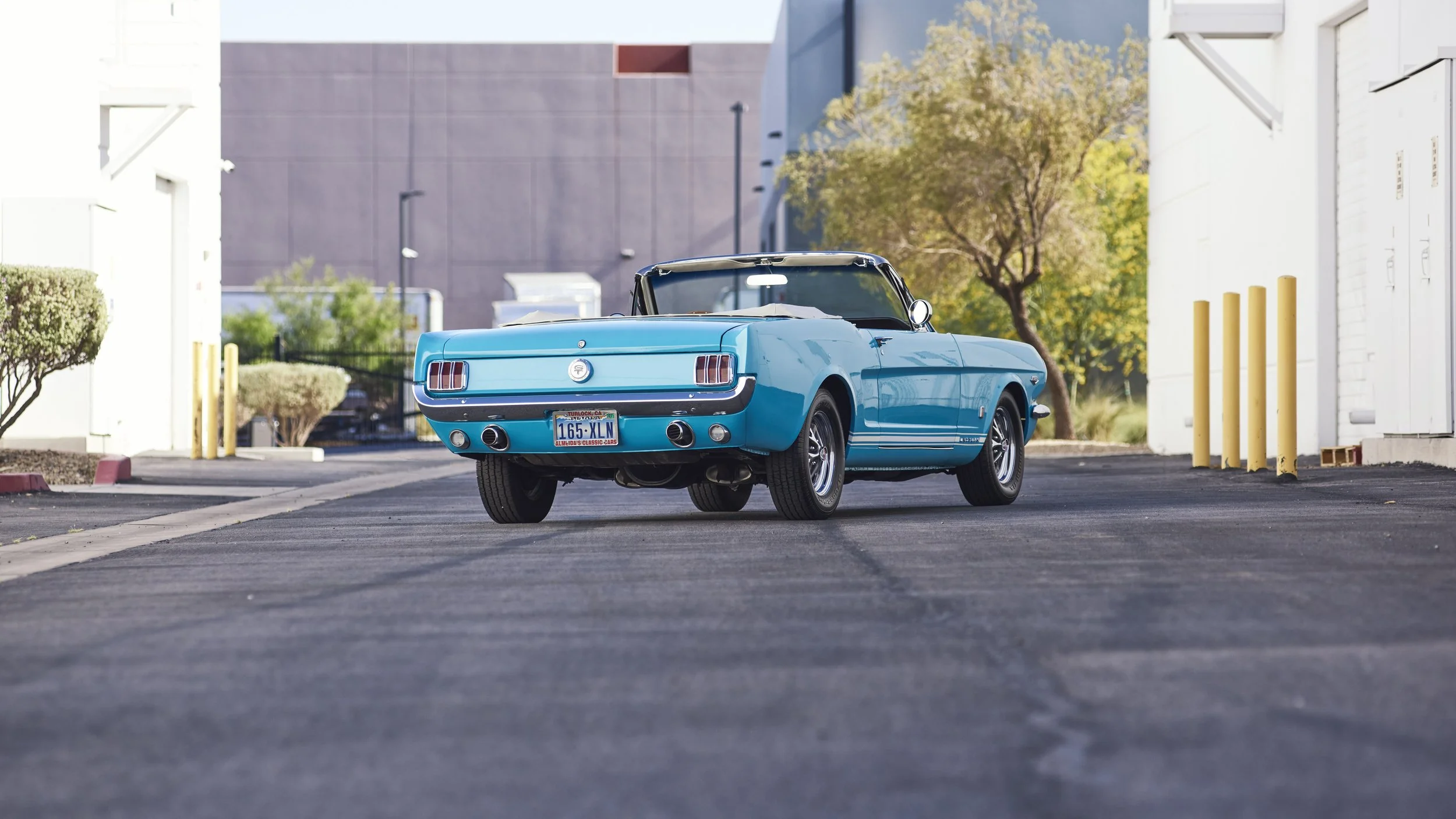 MUSTANG645VERT_052122_HERO_03.jpg