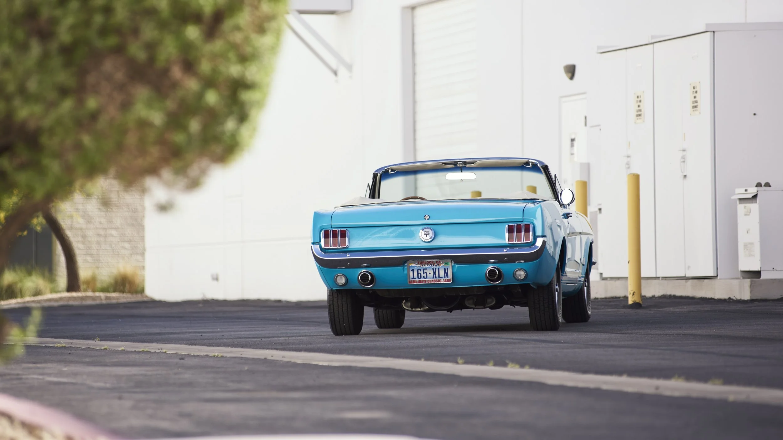 MUSTANG645VERT_052122_HERO_04.jpg