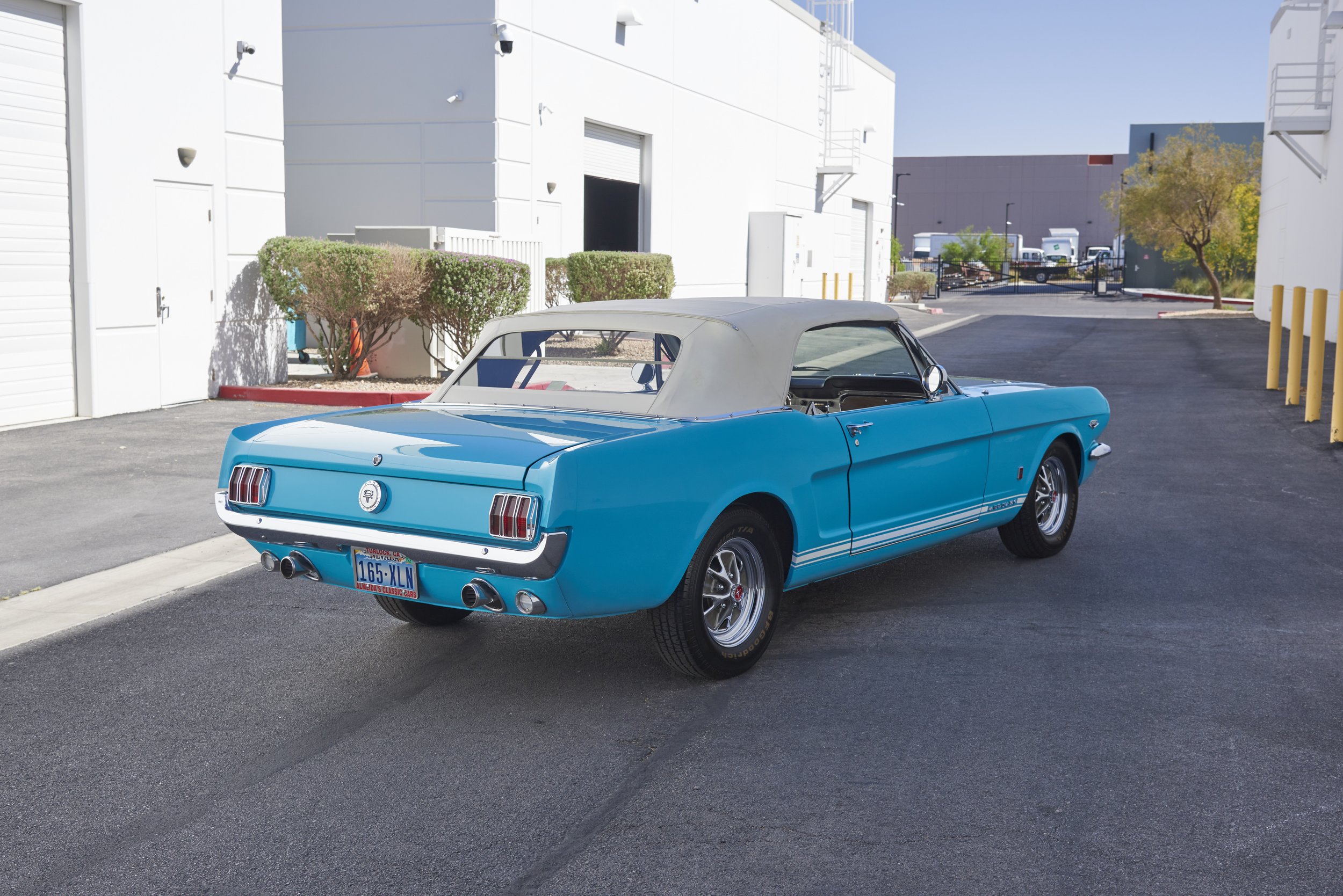 MUSTANG645VERT_052122_06.jpg