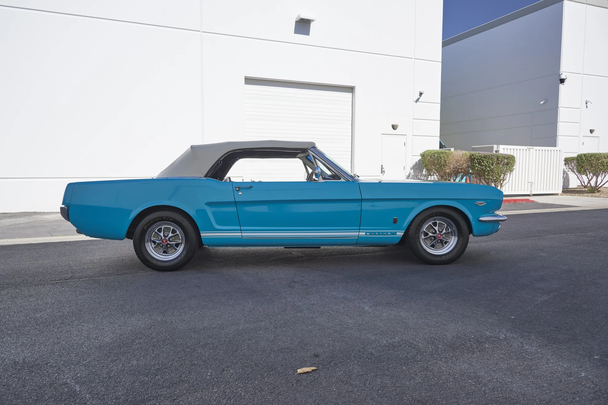 MUSTANG645VERT_052122_07.jpg
