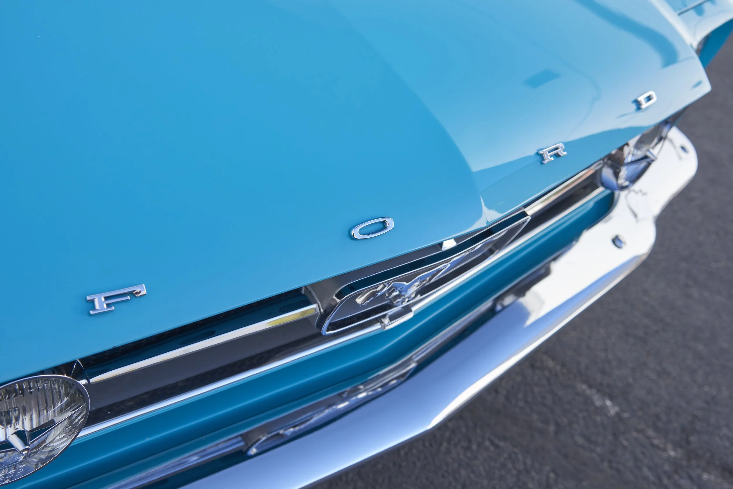MUSTANG645VERT_052122_27.jpg