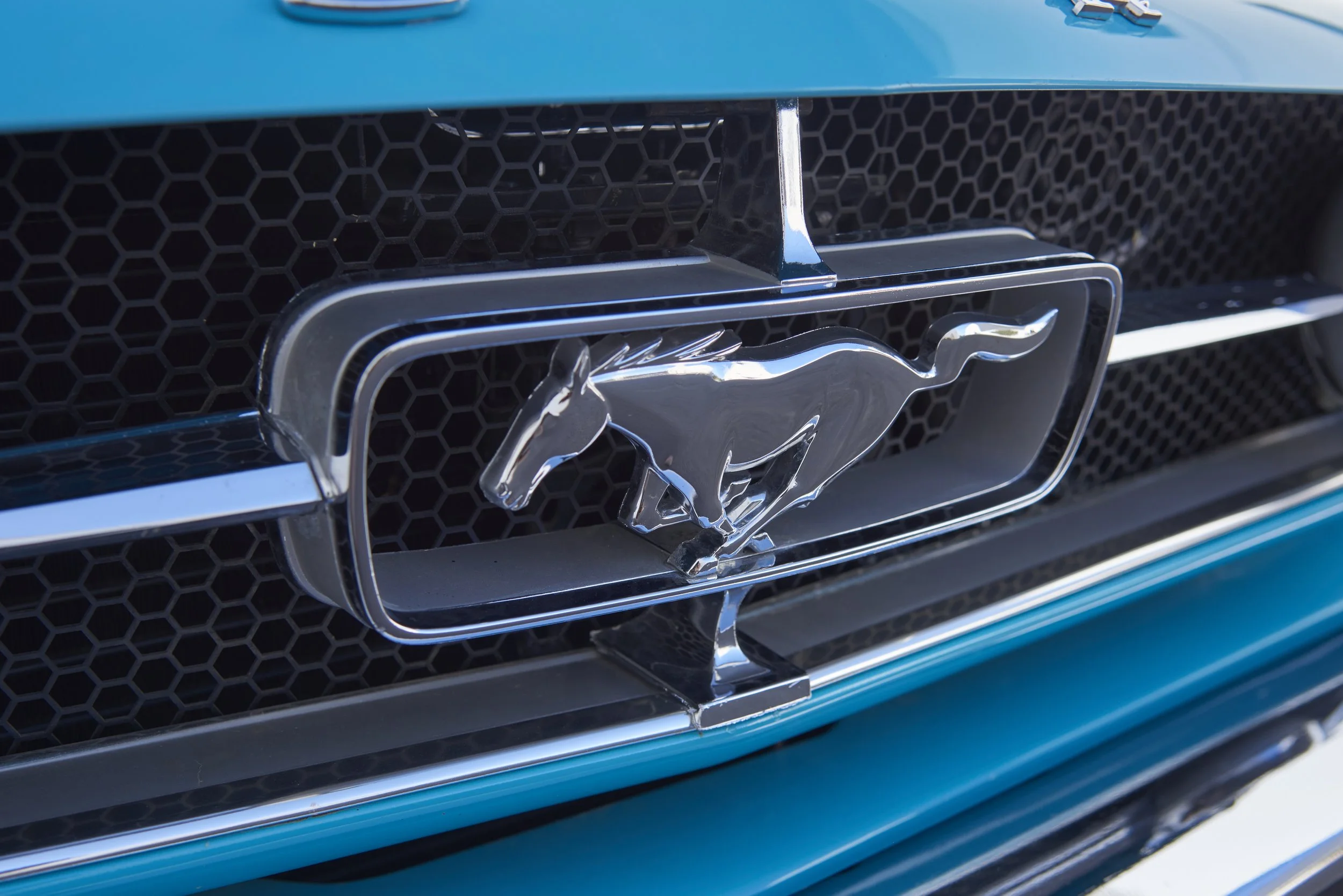 MUSTANG645VERT_052122_28.jpg