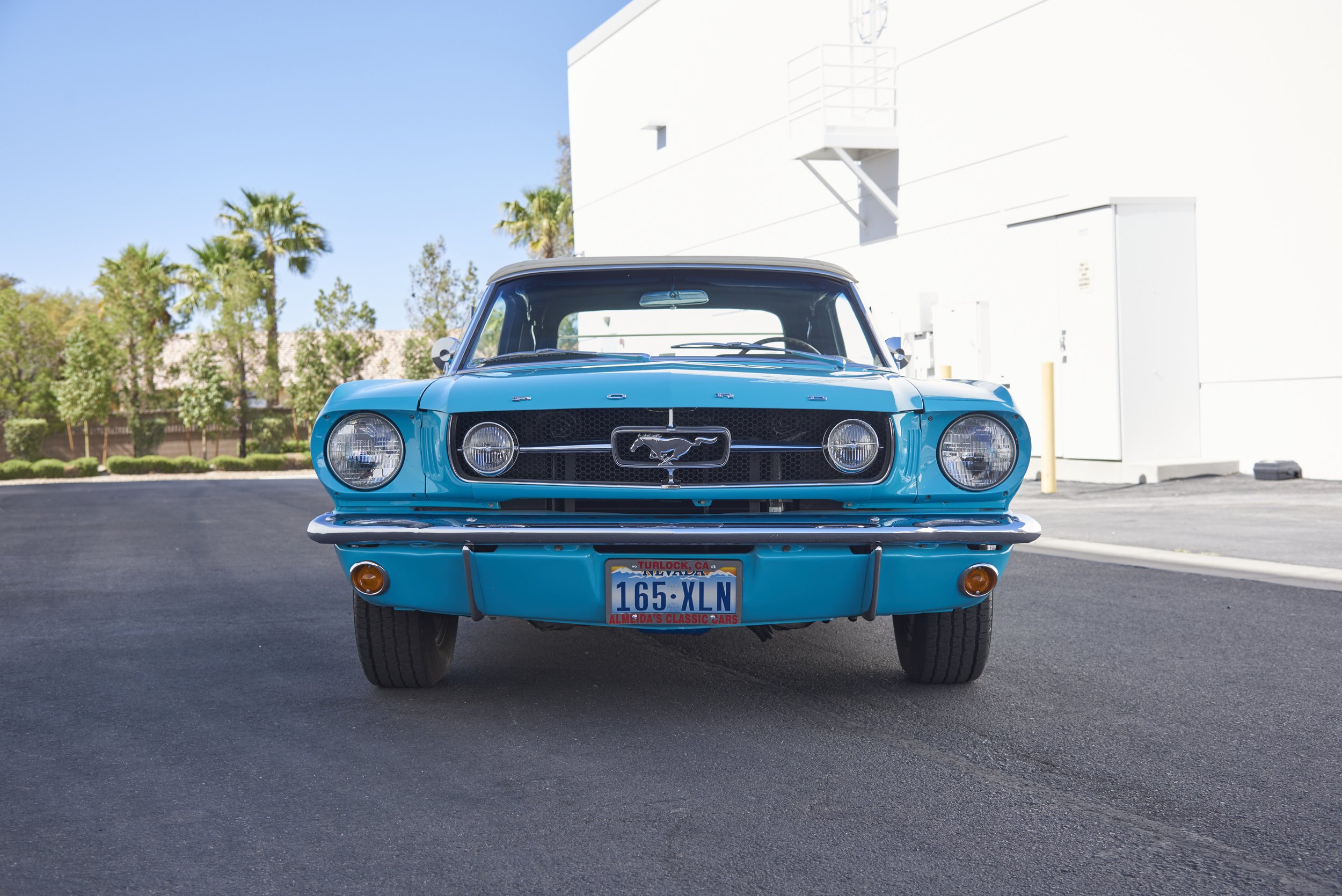 MUSTANG645VERT_052122_35.jpg