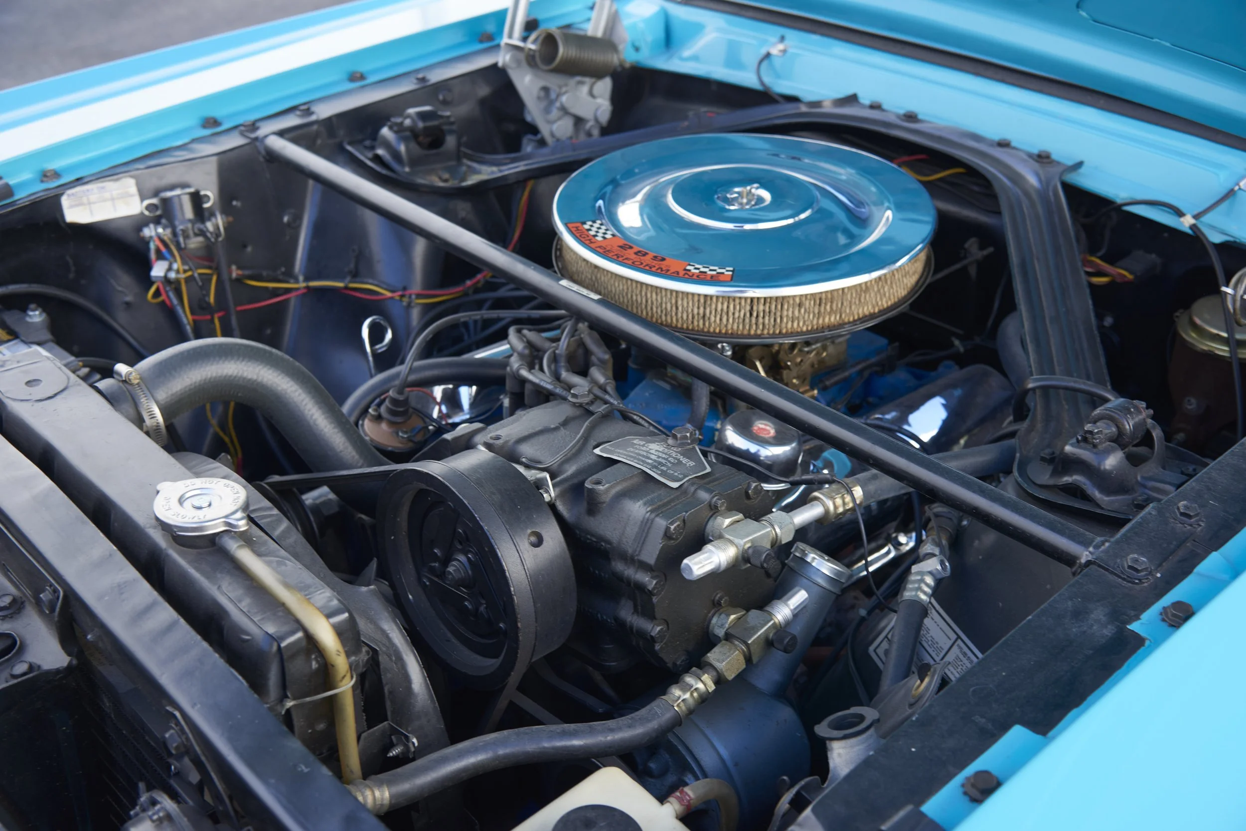 MUSTANG645VERT_052122_63.jpg